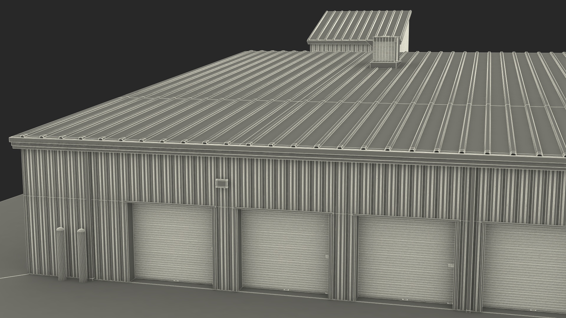 Self Storage Steel Building 3D