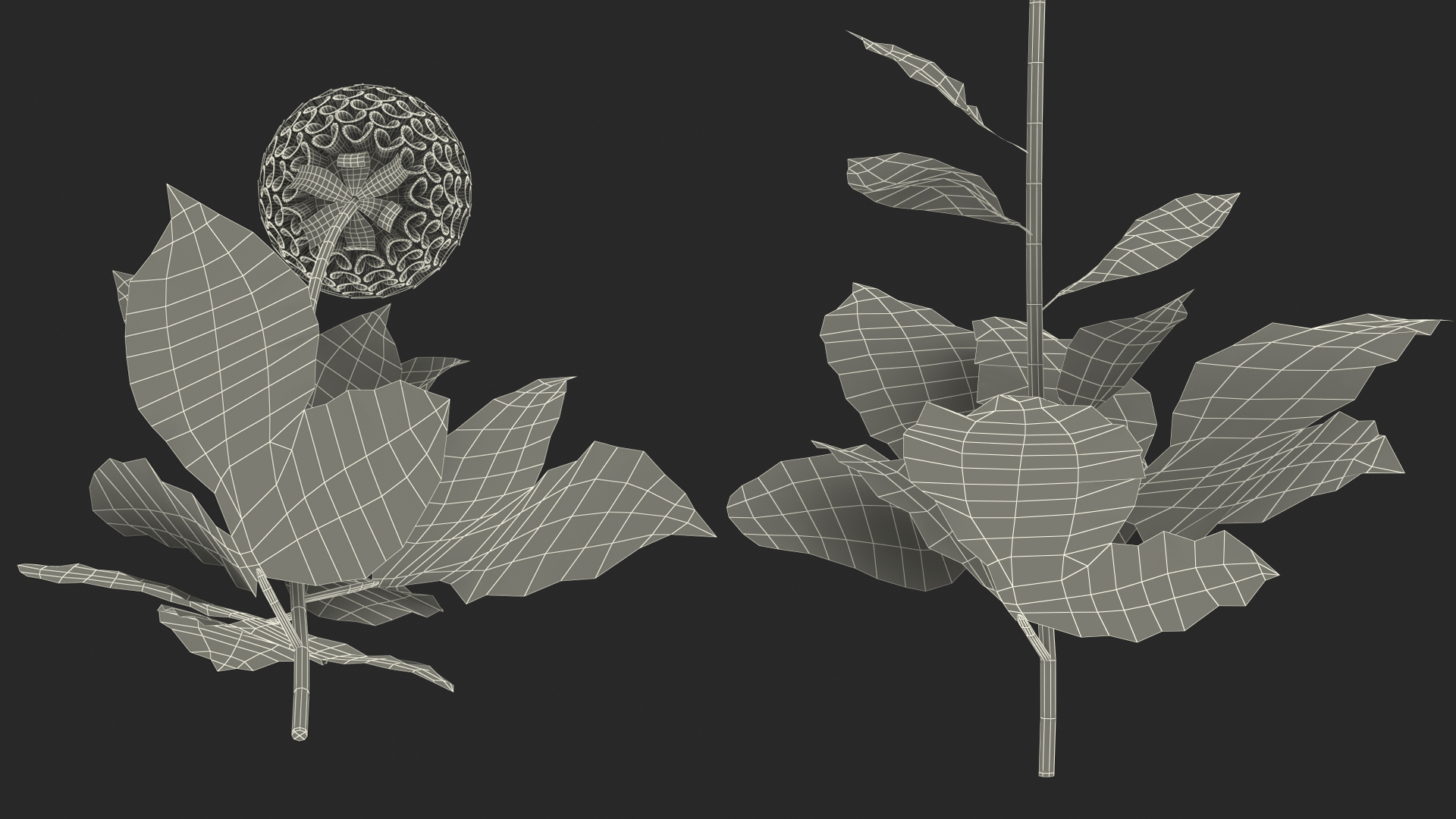 3D model Dahlia Franz Kafka Pompon