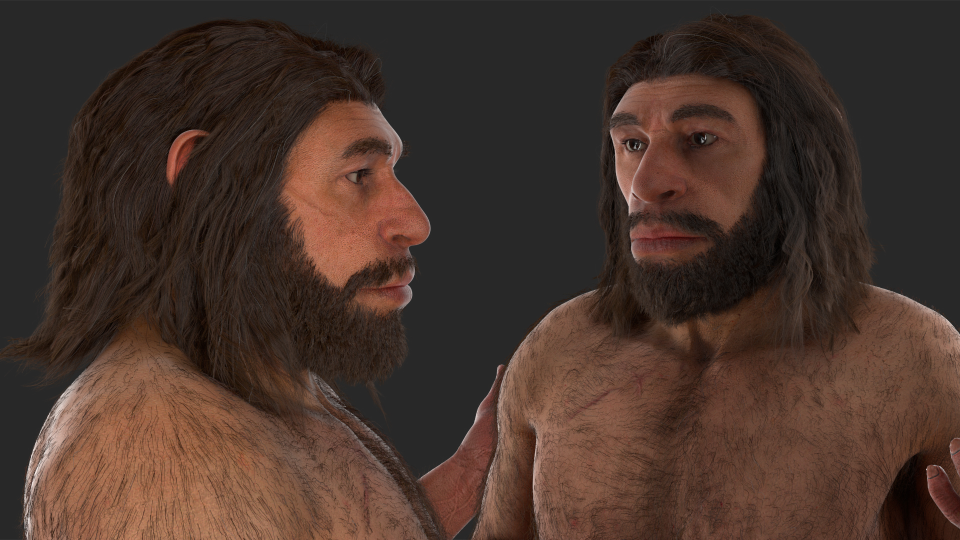 3D Stand Neanderthal Fur