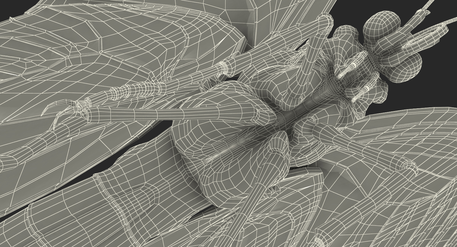 3D model Milkweed Butterfly Flying Pose