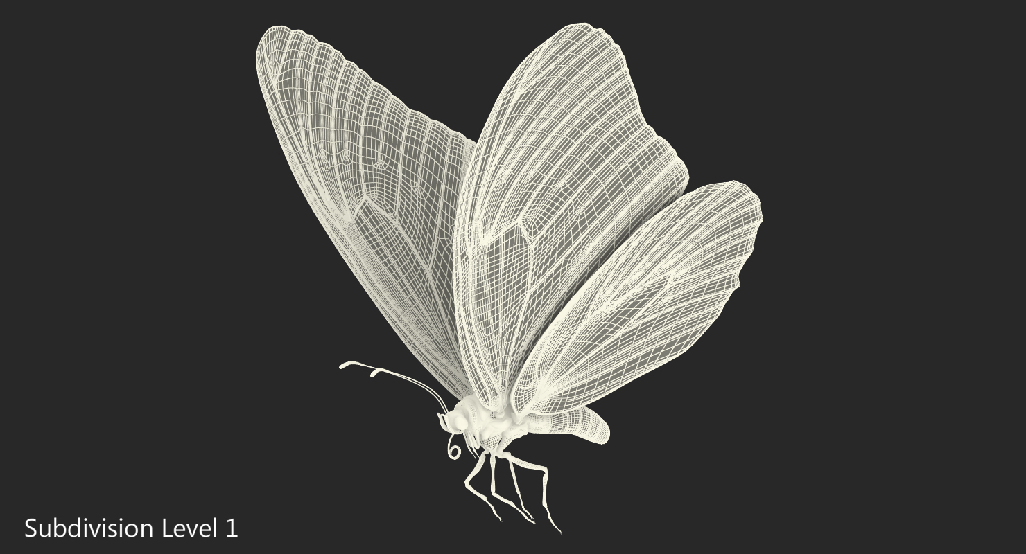 3D model Milkweed Butterfly Flying Pose