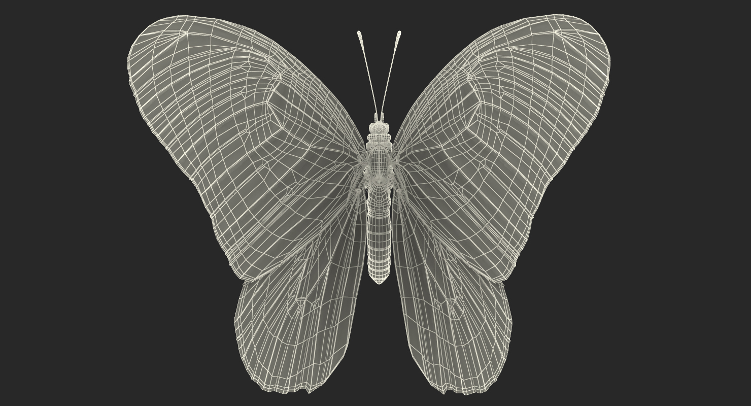 3D model Milkweed Butterfly Flying Pose