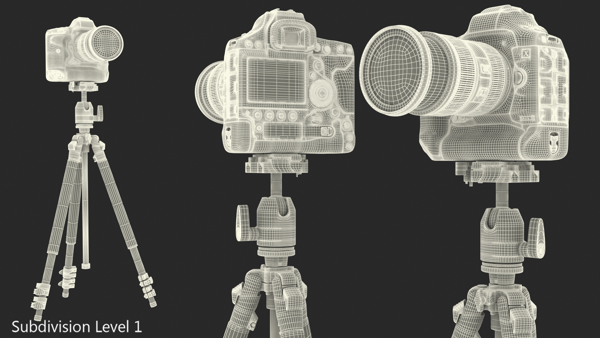 3D model Canon 1DX with Zoom Lens 24 70 on Tripod