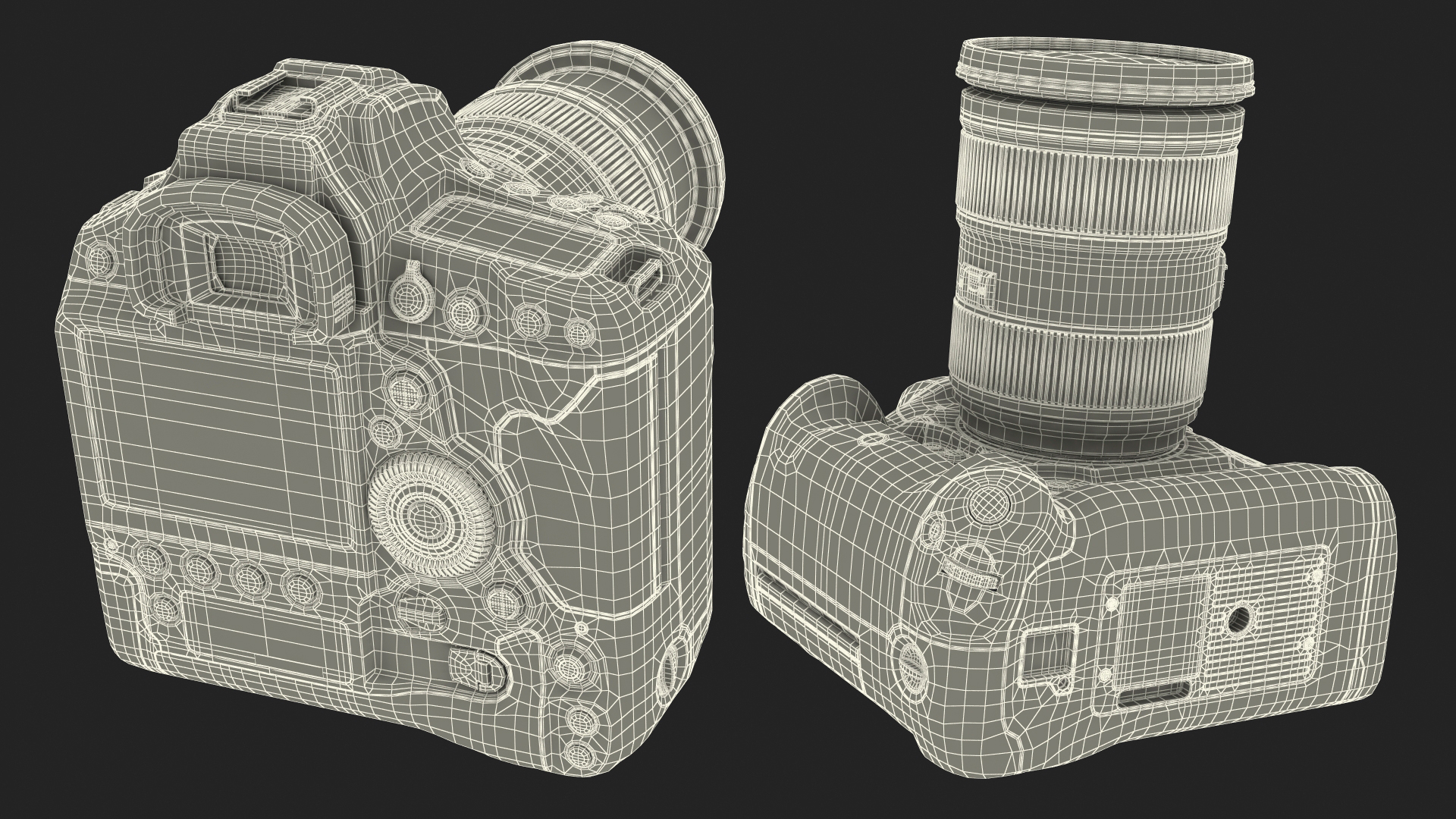3D model Canon 1DX with Zoom Lens 24 70 on Tripod