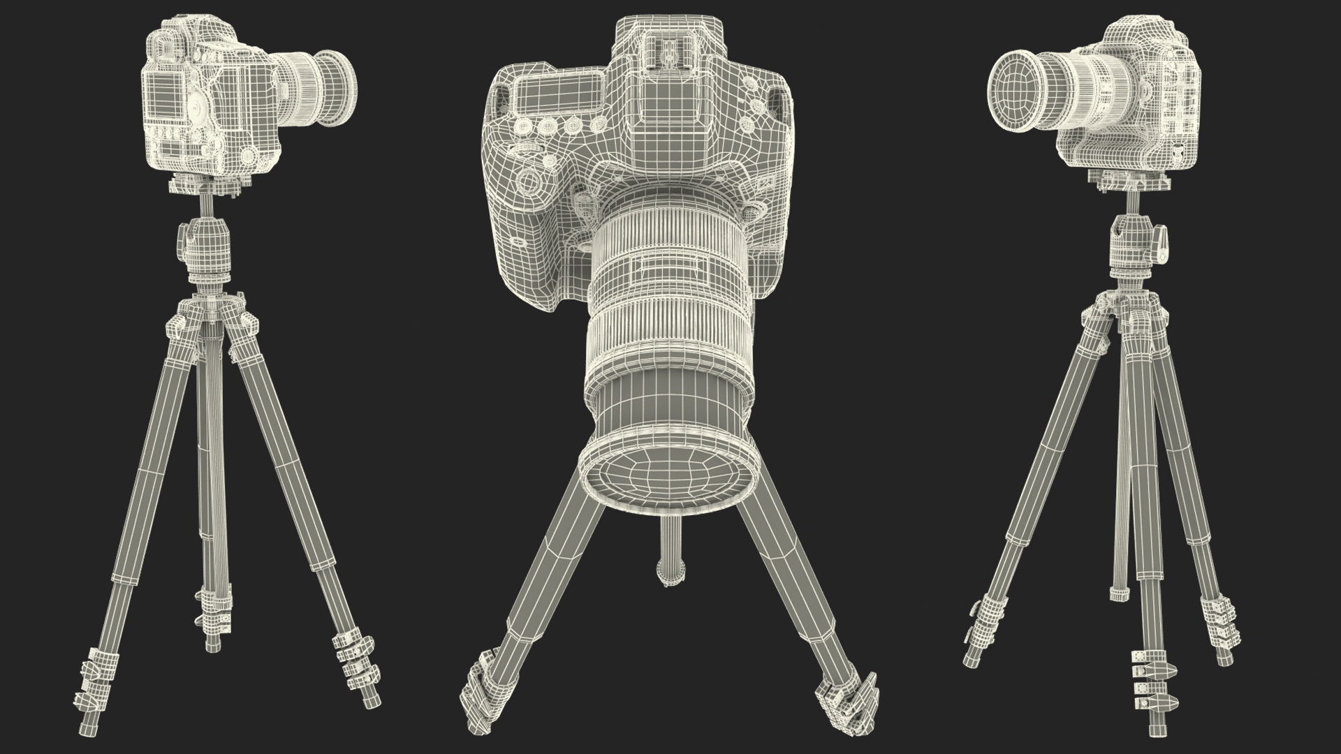 3D model Canon 1DX with Zoom Lens 24 70 on Tripod