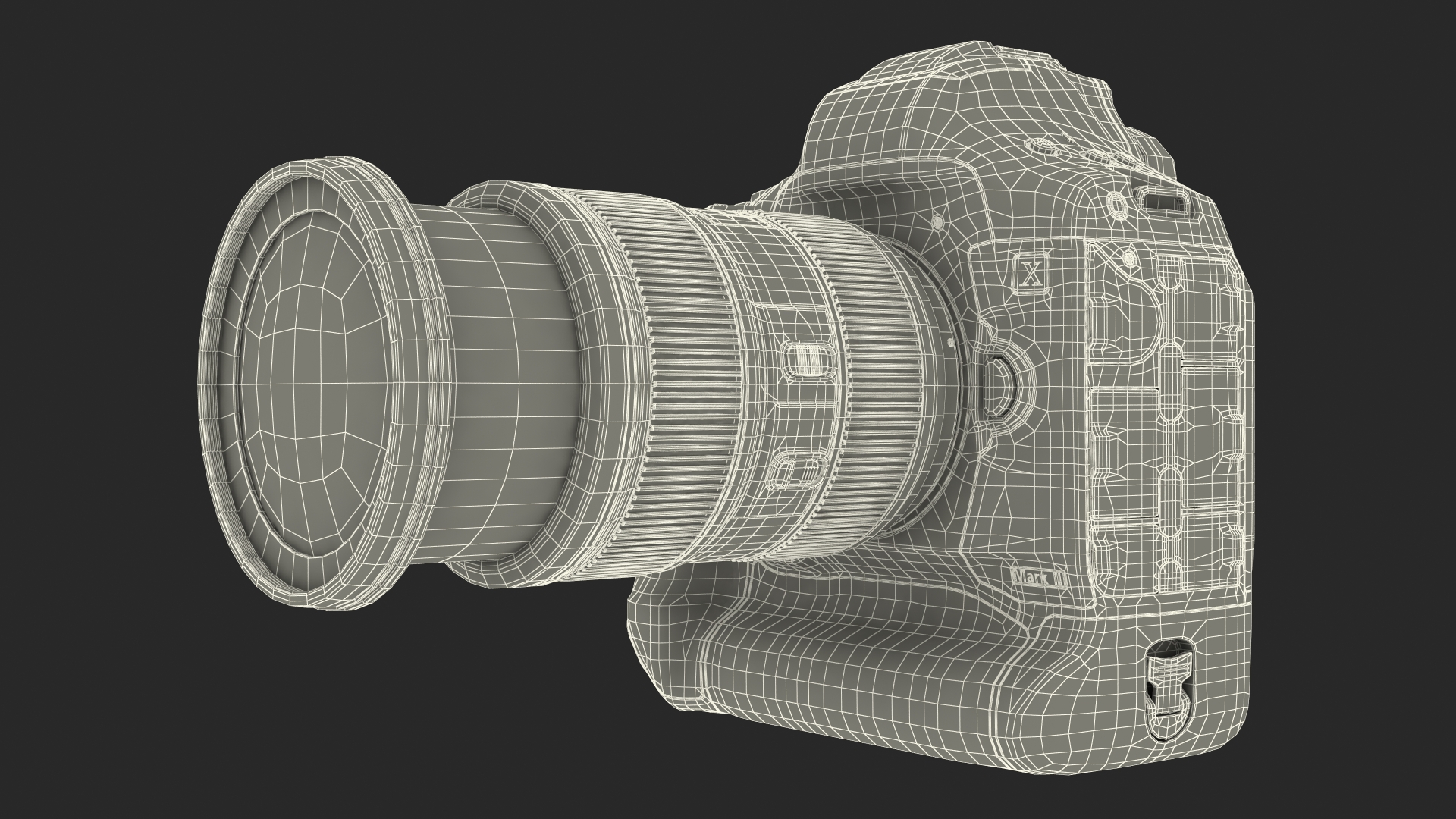 3D model Canon 1DX with Zoom Lens 24 70 on Tripod