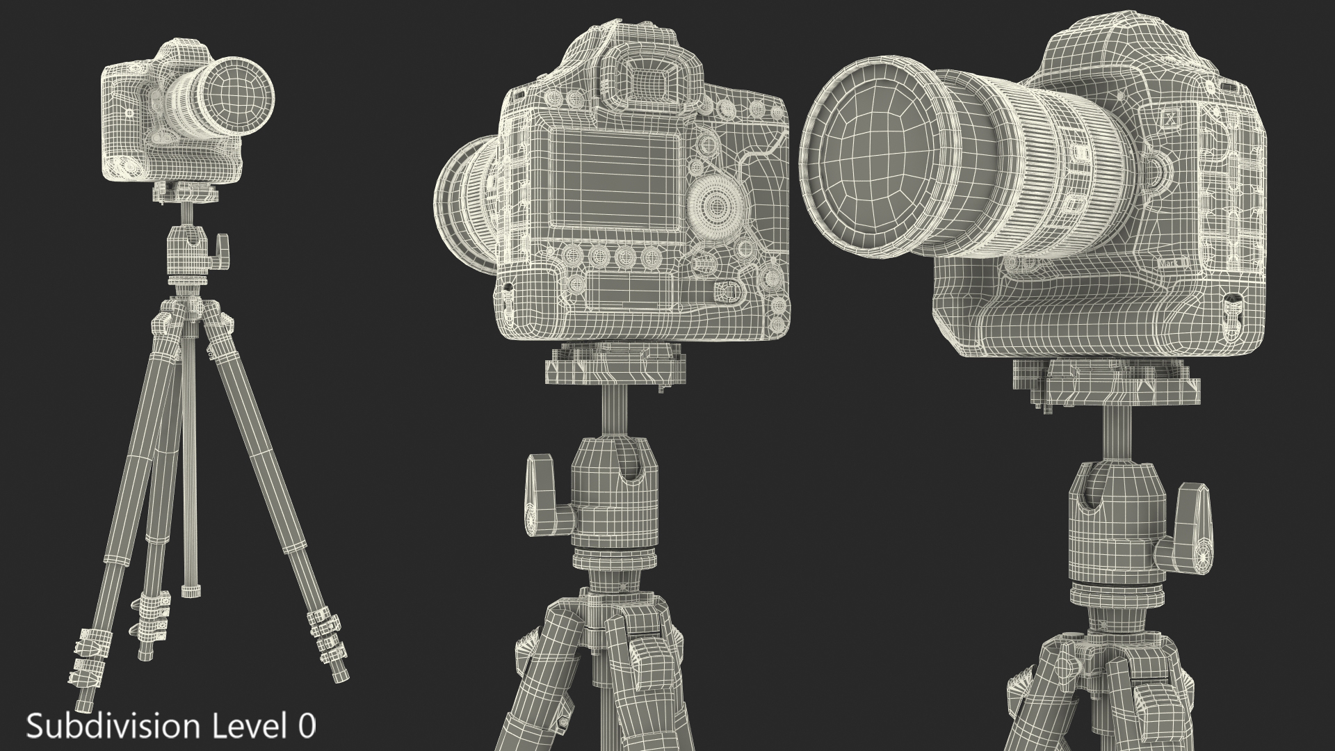 3D model Canon 1DX with Zoom Lens 24 70 on Tripod