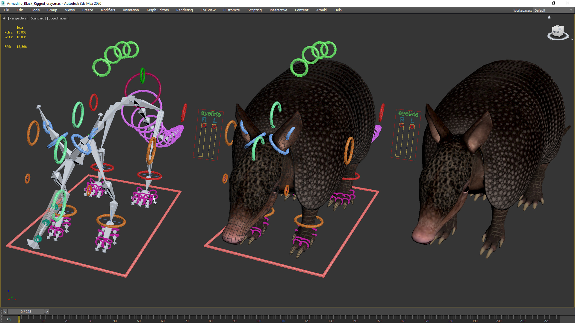 3D Armadillo Black Rigged for Cinema 4D