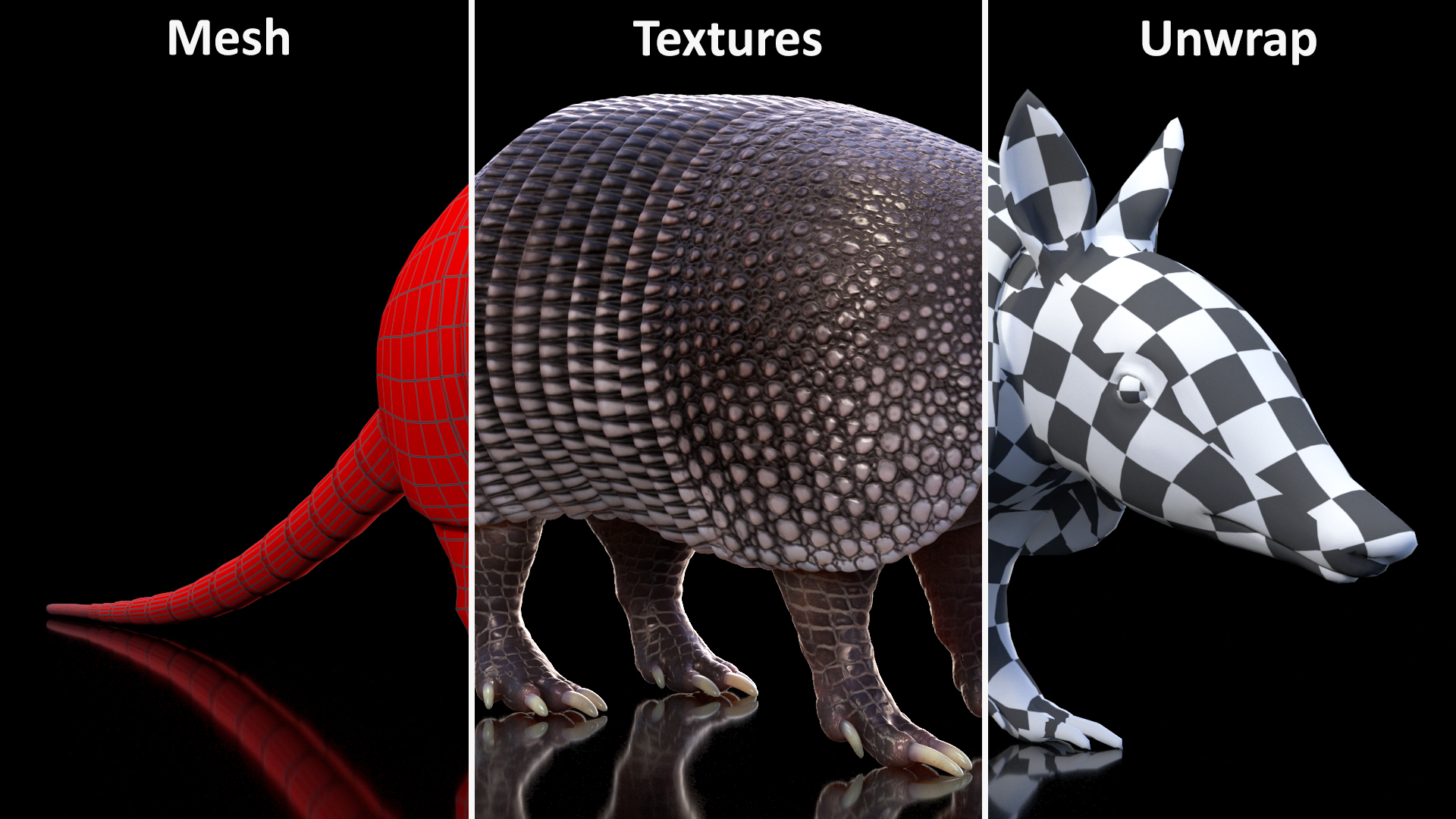 3D Armadillo Black Rigged for Cinema 4D