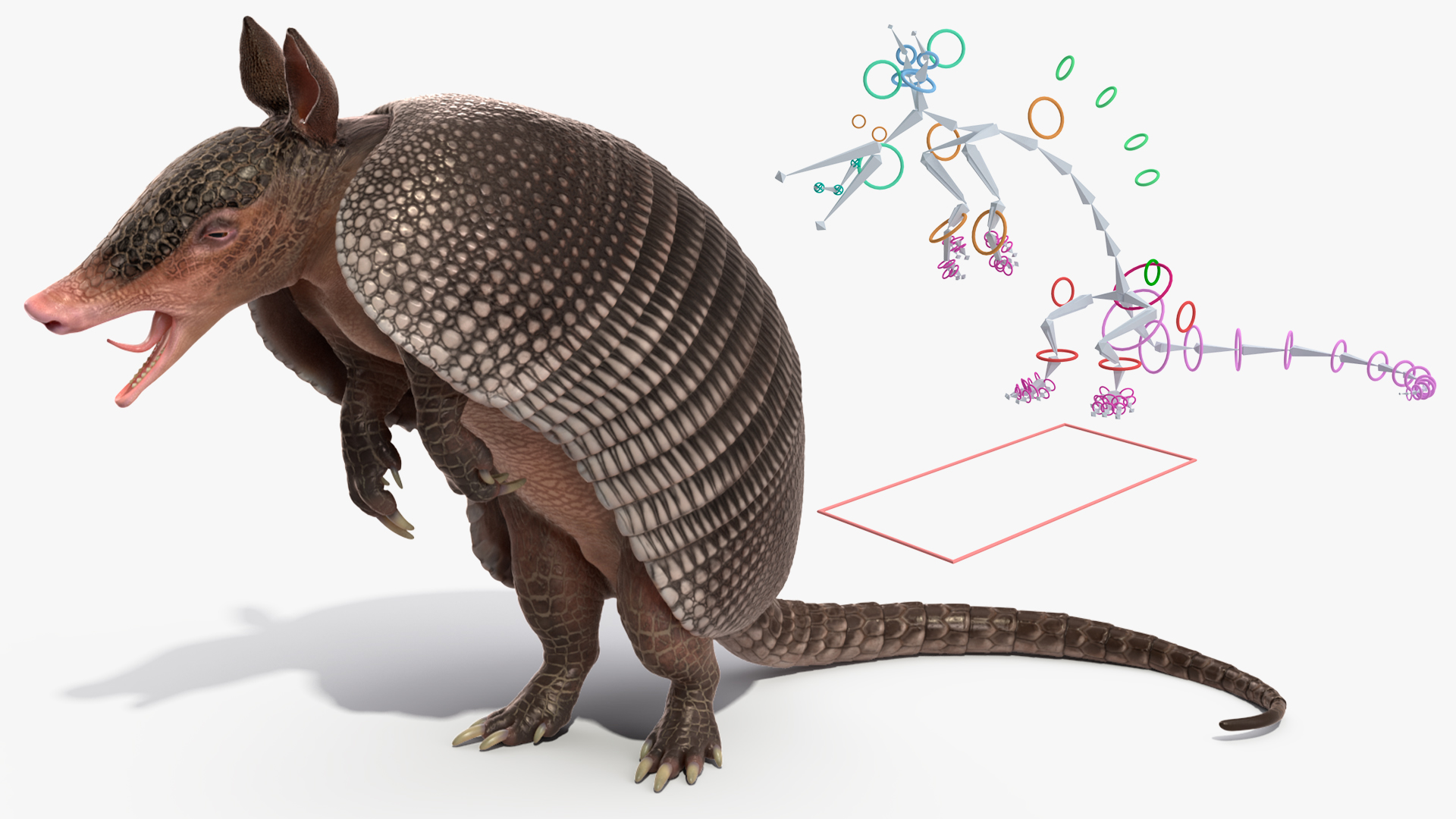 3D Armadillo Black Rigged for Cinema 4D