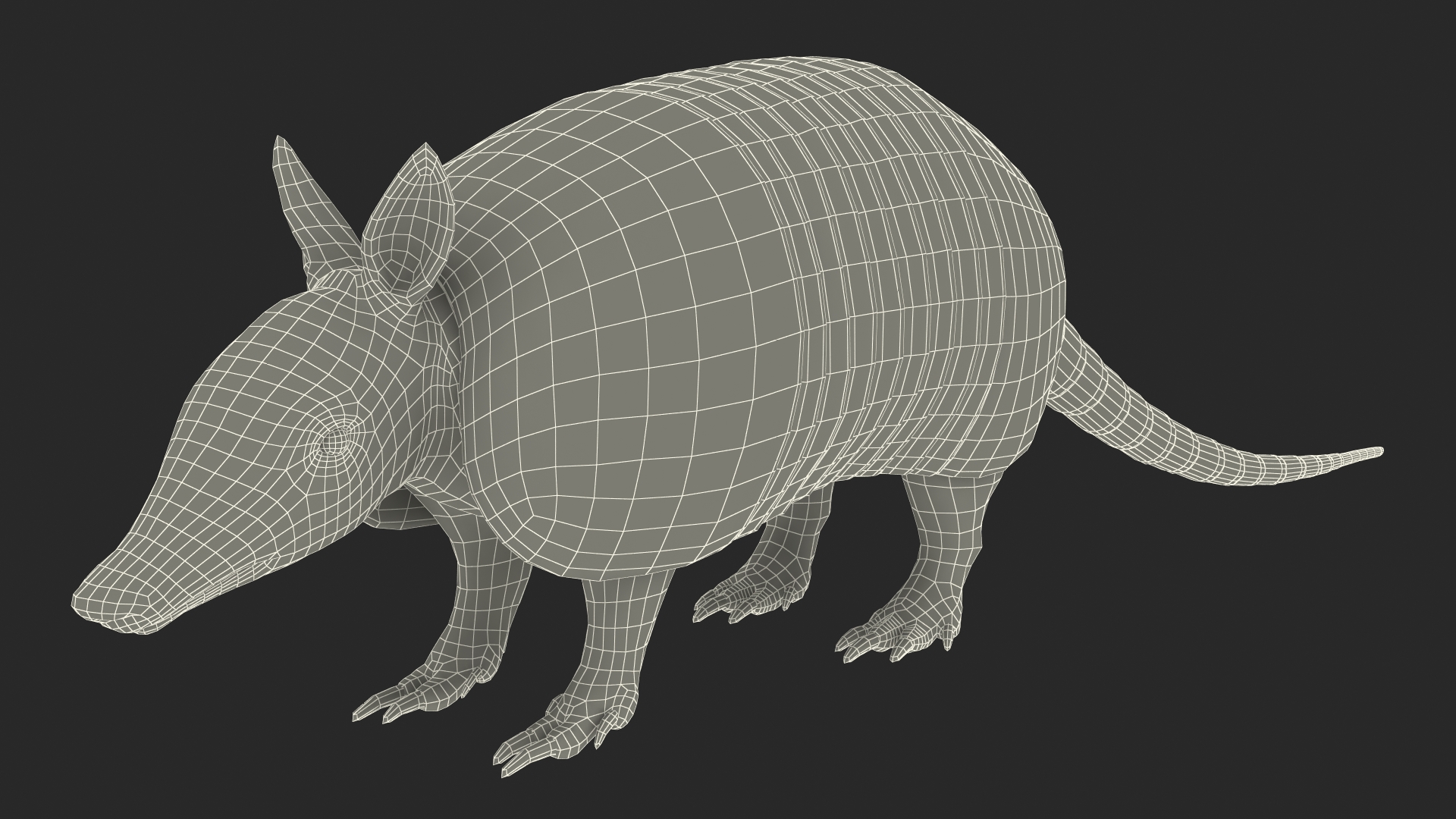 3D Armadillo Black Rigged for Cinema 4D
