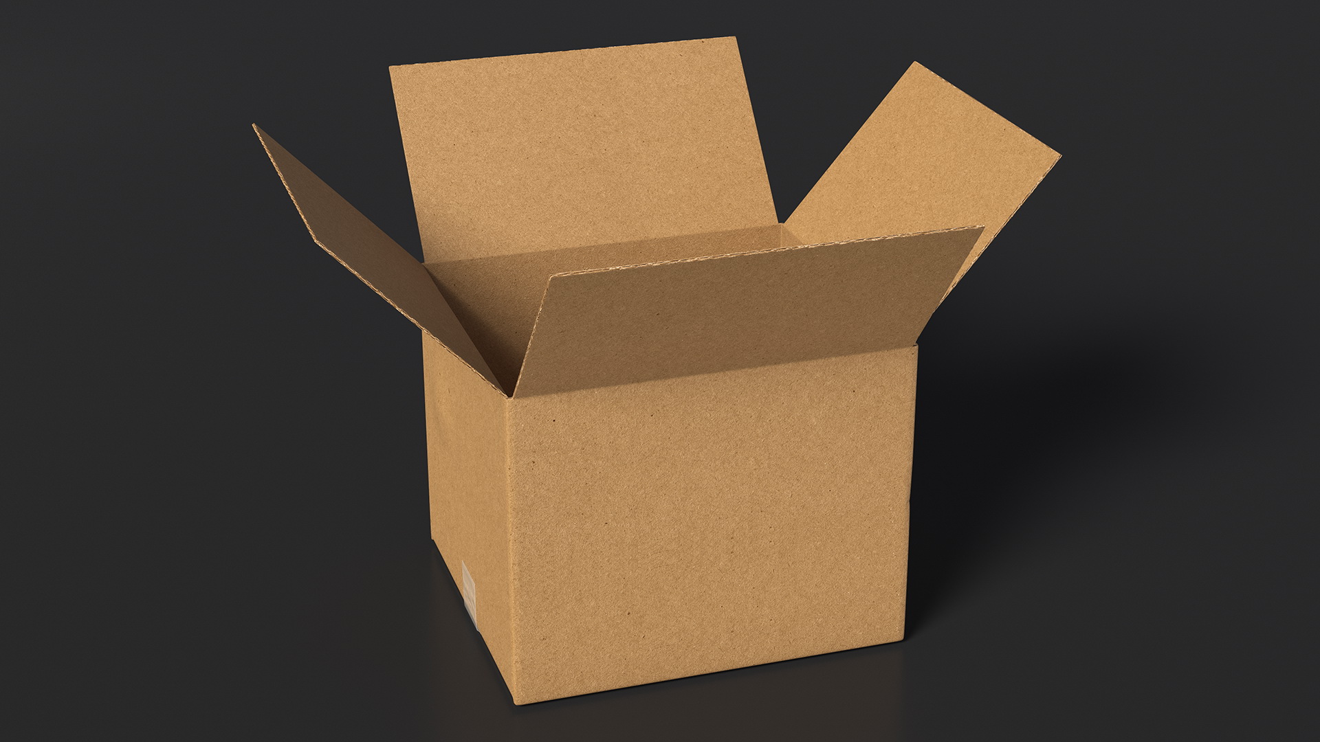 3D Opened Blank Cardboard Box