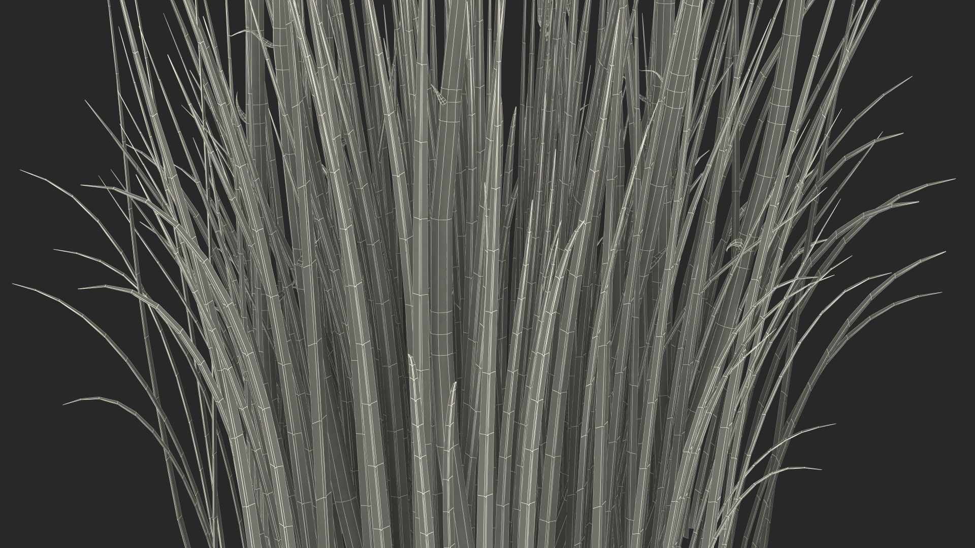 Kniphofia Nancy Red 3D model