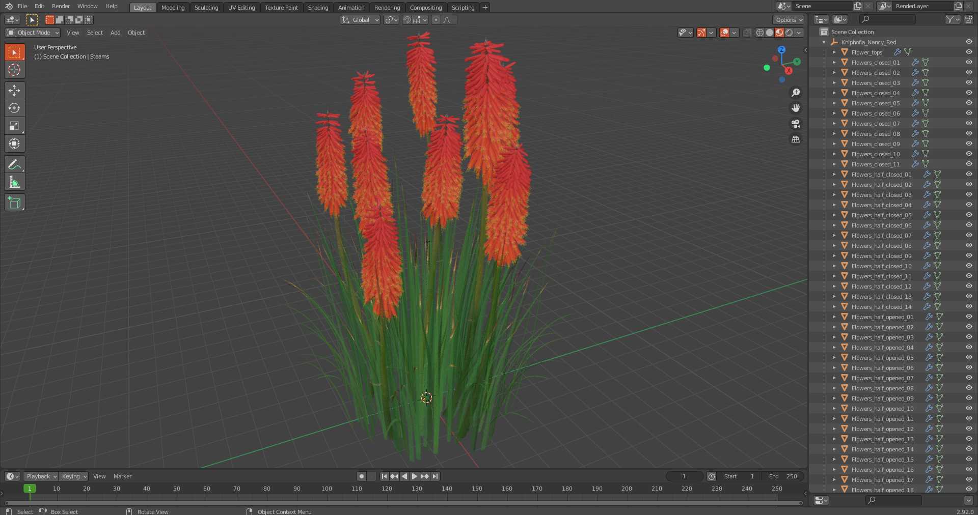 Kniphofia Nancy Red 3D model