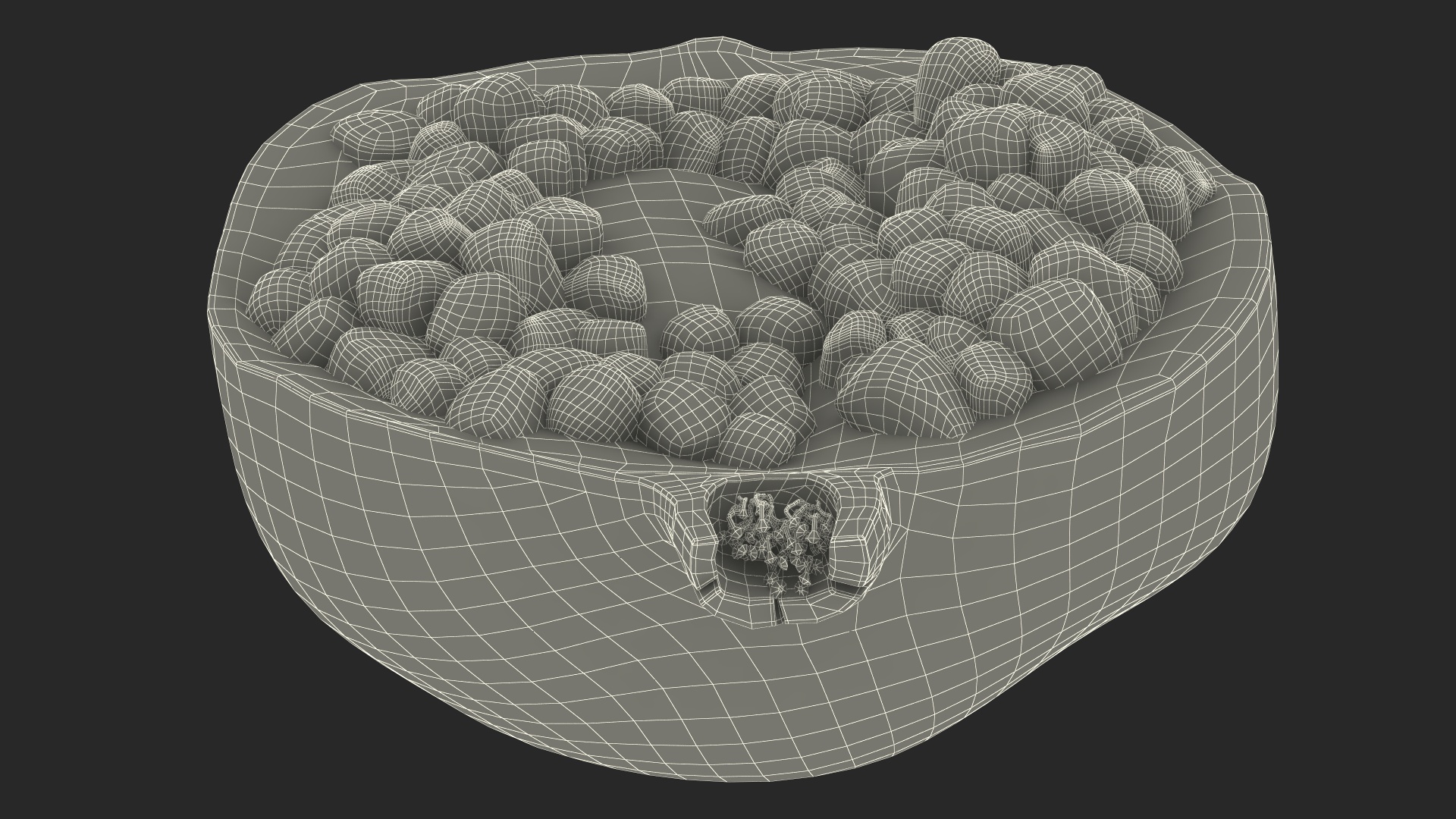 Cross Section Of Pomegranate Fruit 3D model