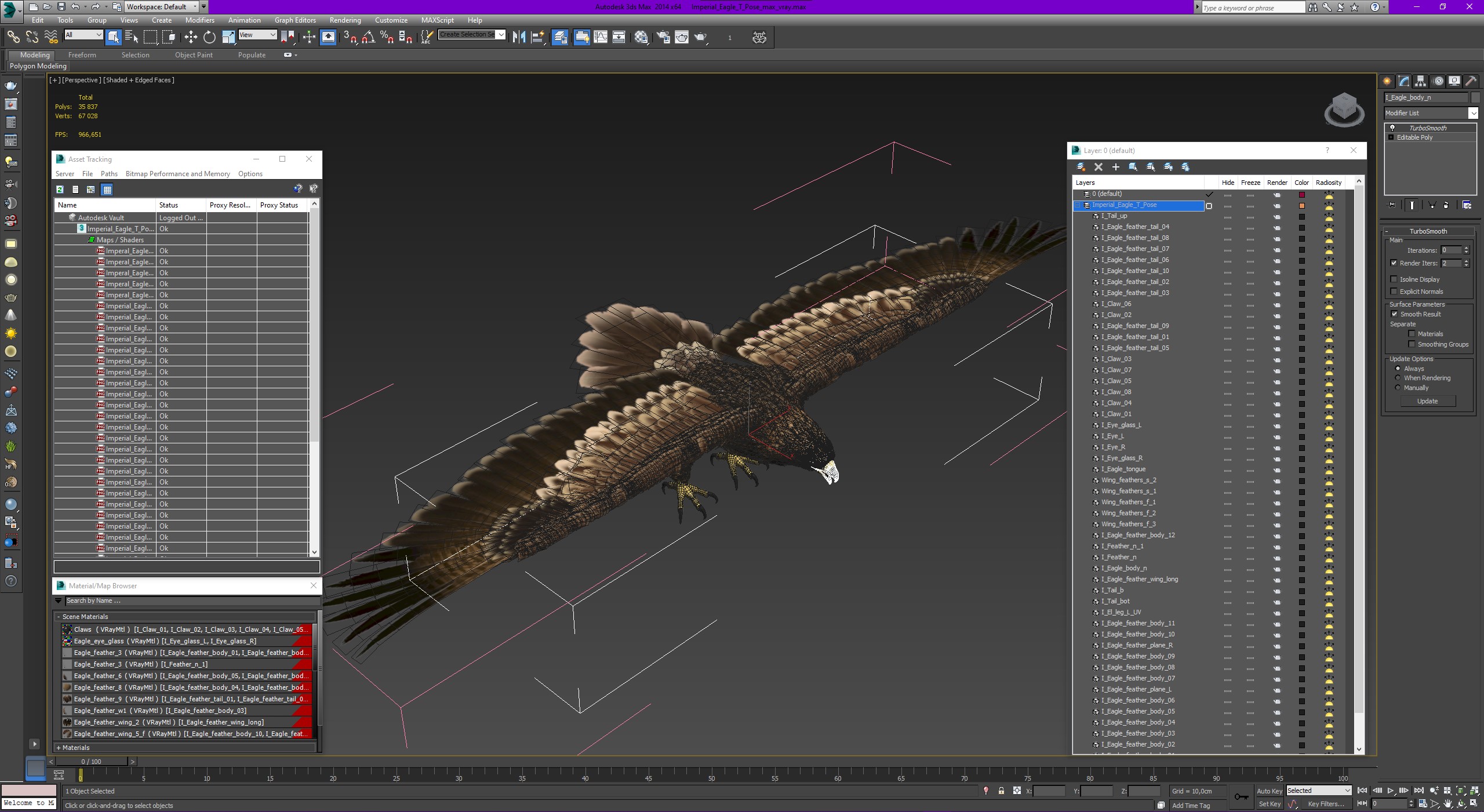 3D Imperial Eagle T Pose