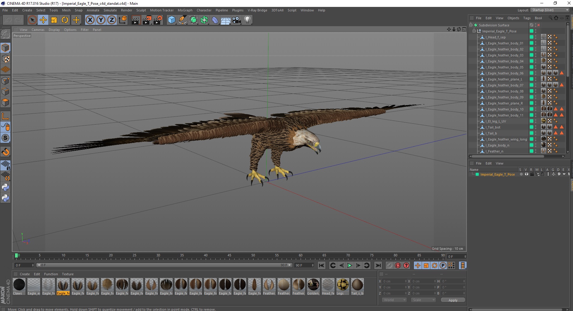 3D Imperial Eagle T Pose