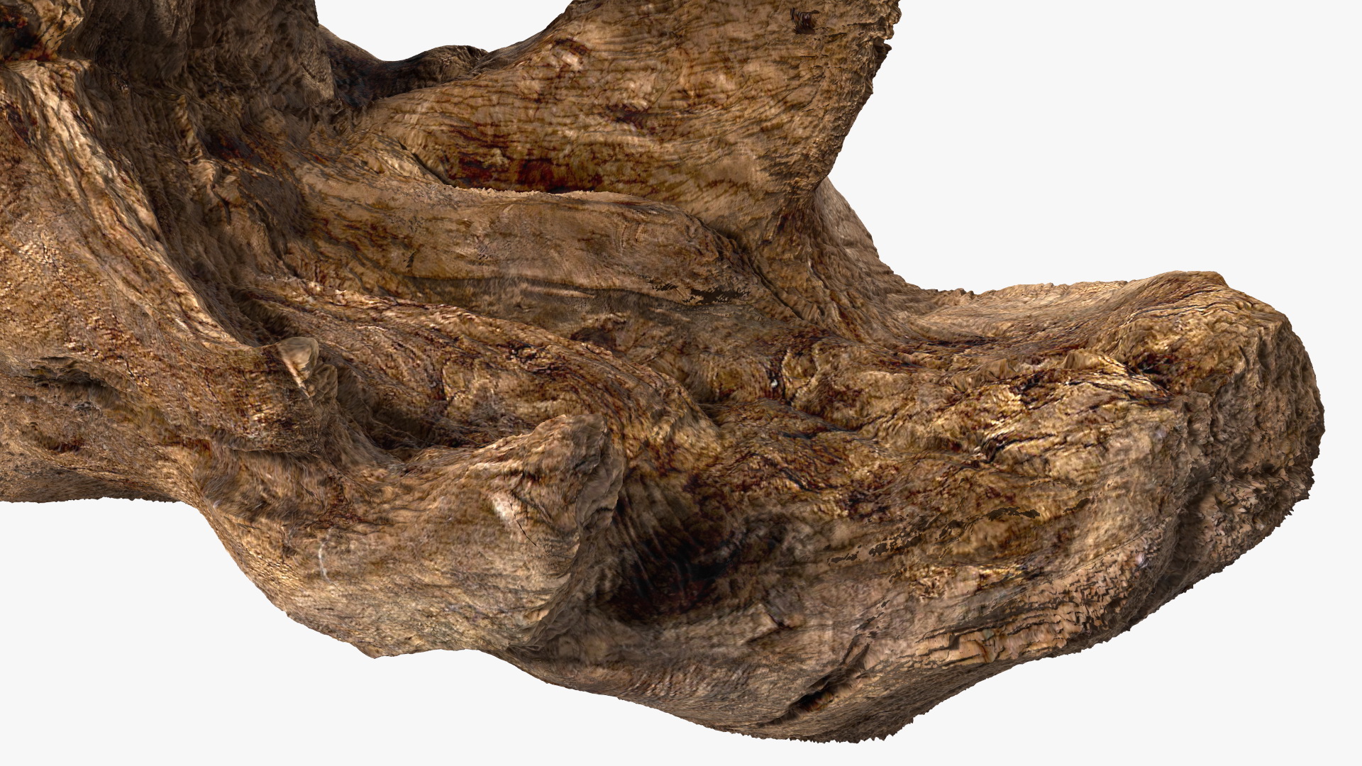 3D model Snag Trunk