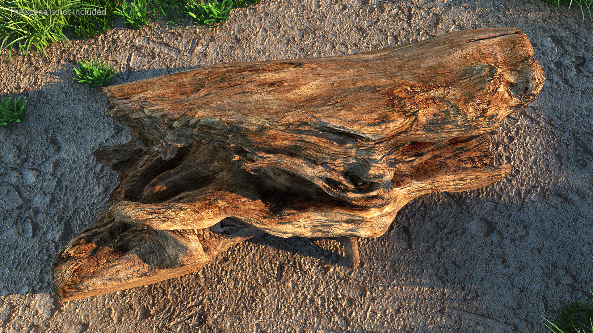 3D model Snag Trunk