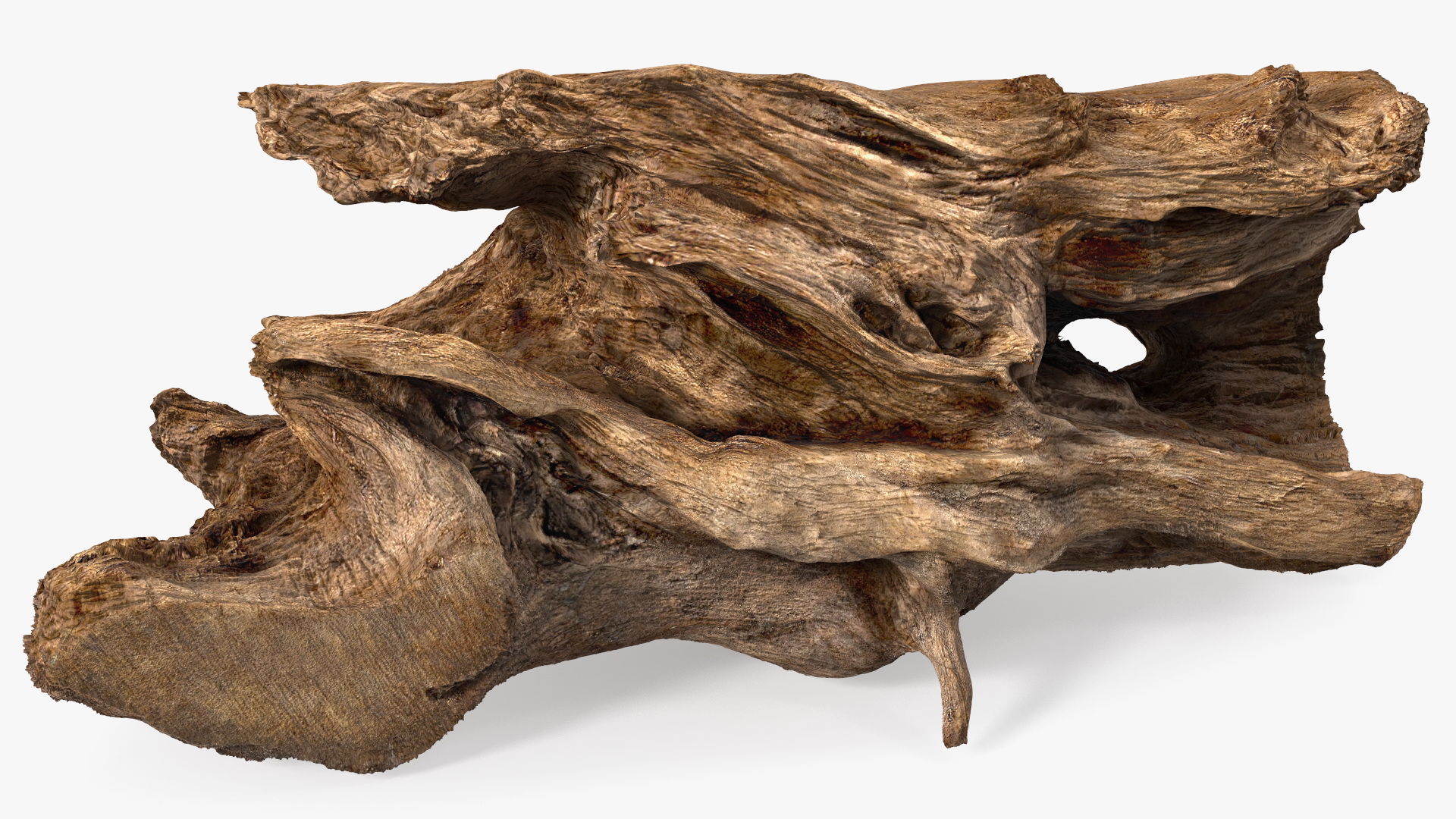 3D model Snag Trunk