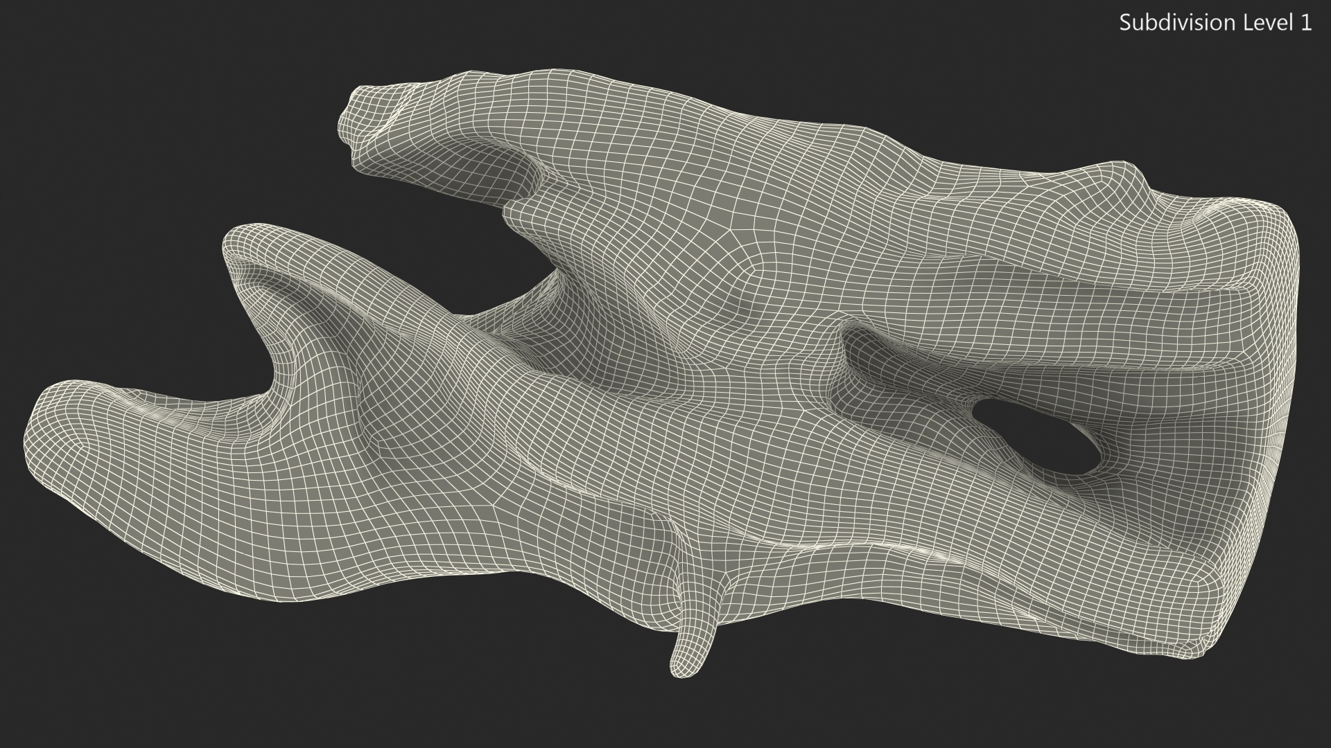3D model Snag Trunk