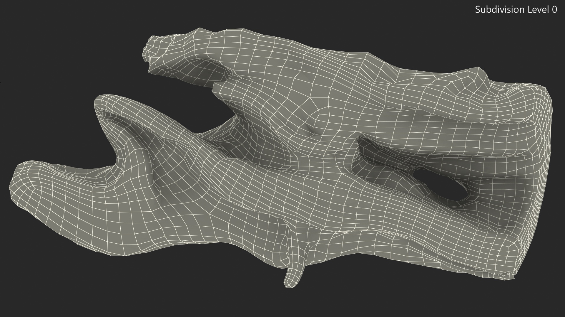 3D model Snag Trunk