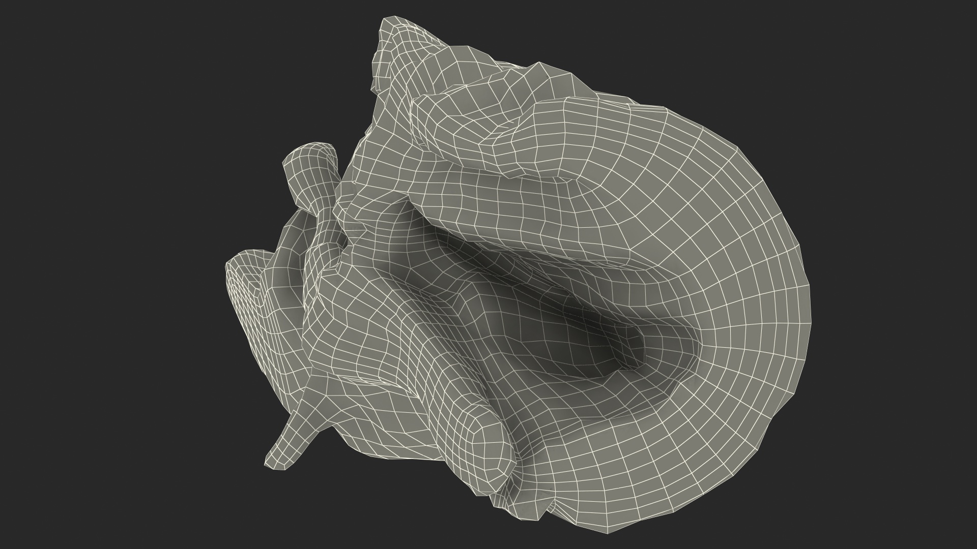 3D model Snag Trunk