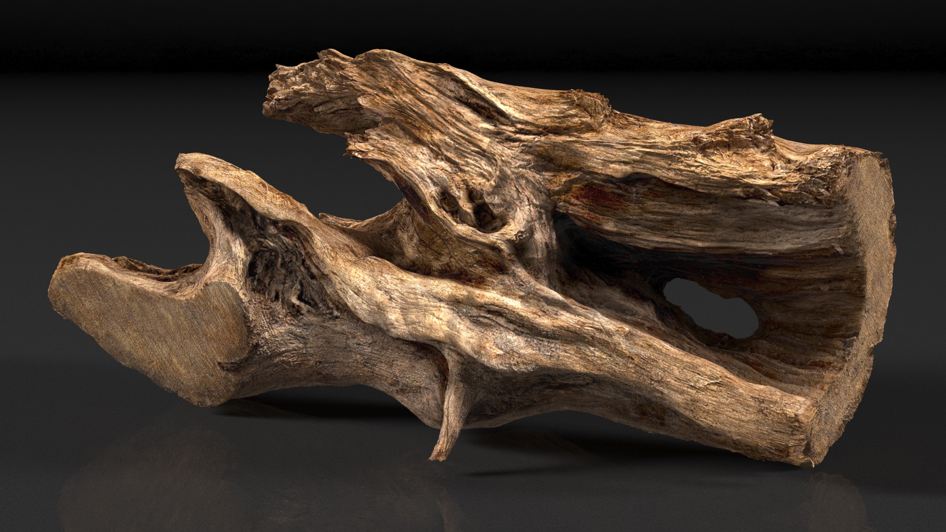 3D model Snag Trunk
