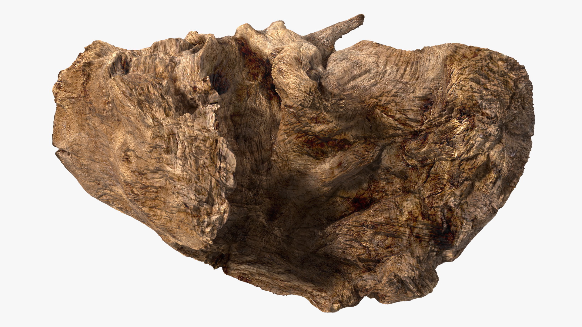 3D model Snag Trunk