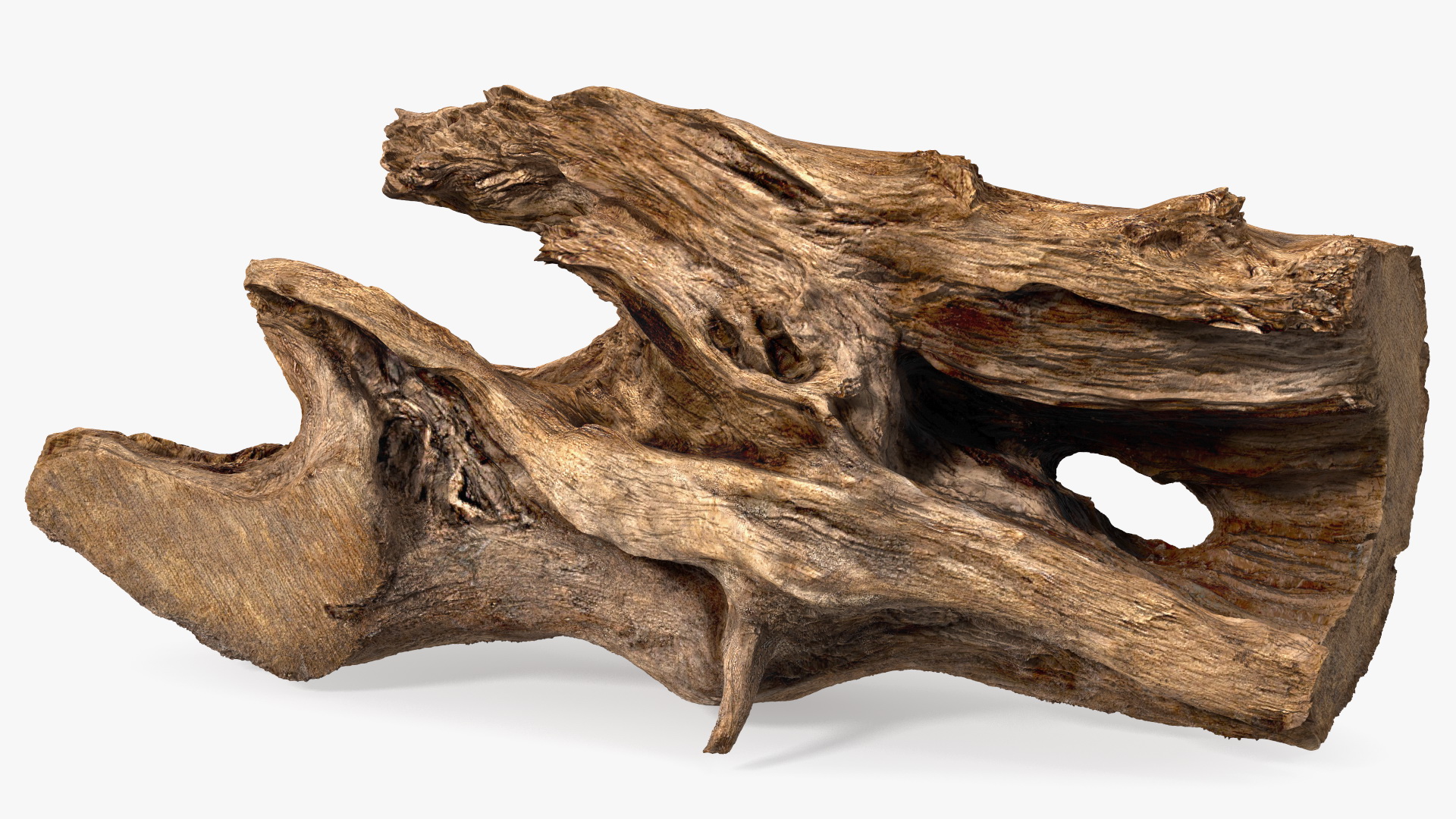 3D model Snag Trunk
