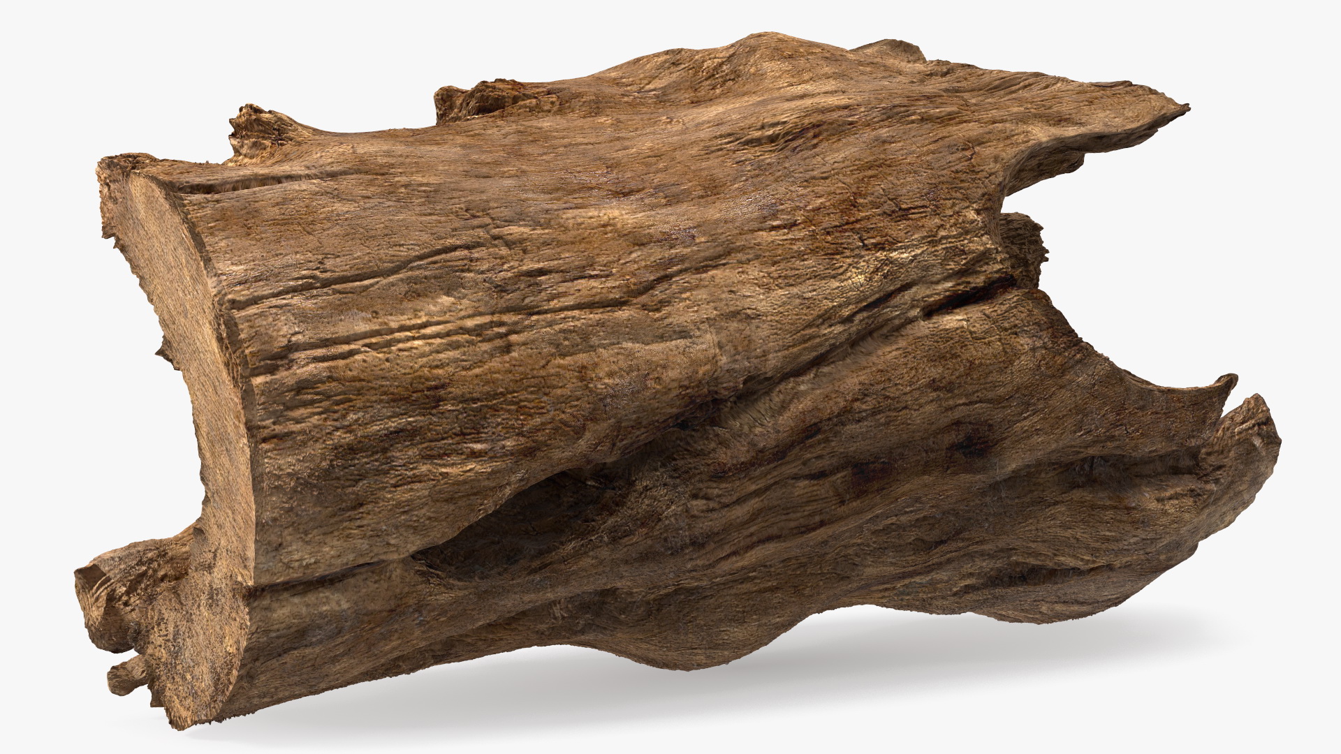 3D model Snag Trunk