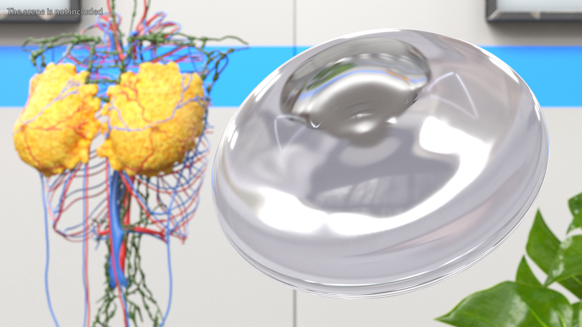 Moderate Smooth Female Breast Implant 3D