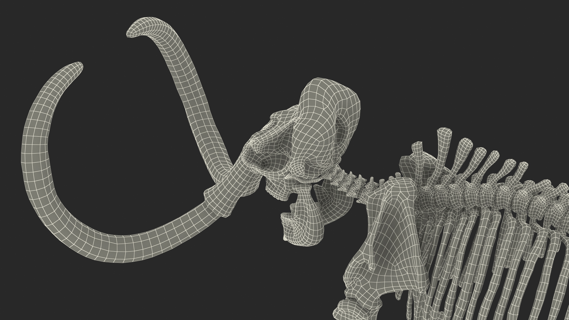3D model Mammoth Skeleton Clean Bones Rigged