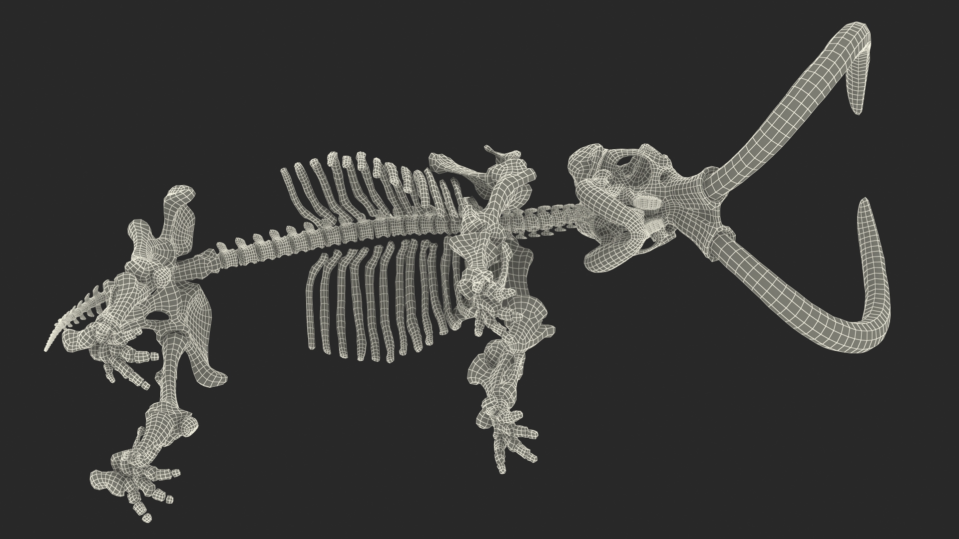 3D model Mammoth Skeleton Clean Bones Rigged