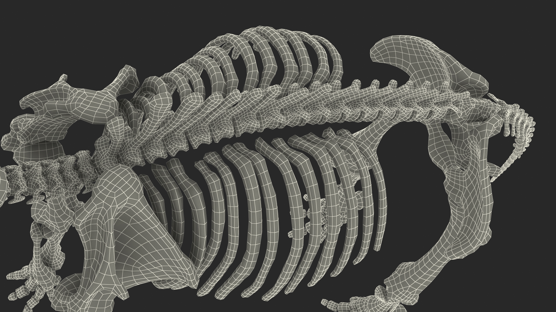 3D model Mammoth Skeleton Clean Bones Rigged