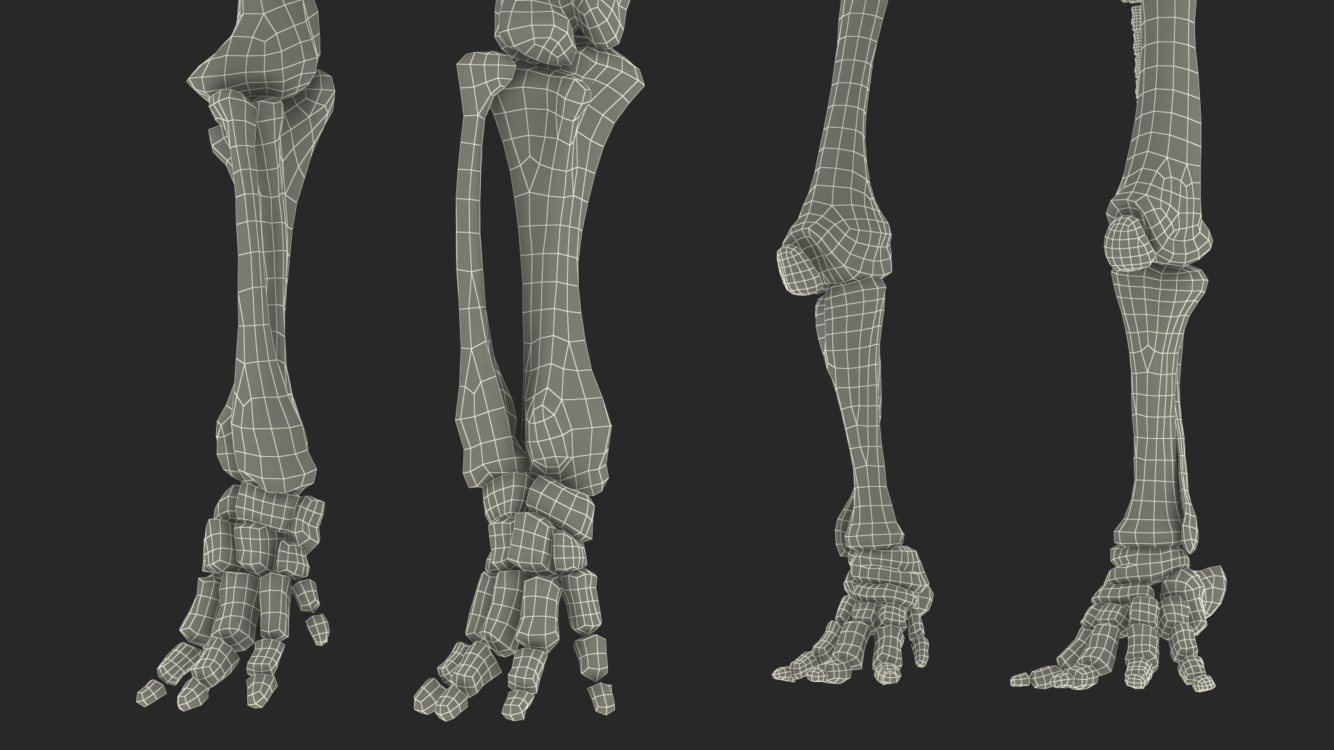 3D model Mammoth Skeleton Clean Bones Rigged