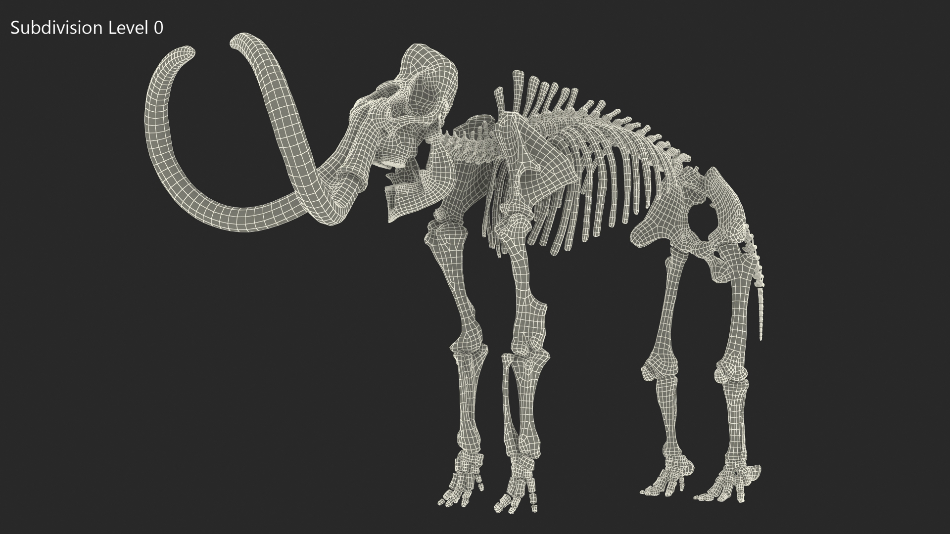 3D model Mammoth Skeleton Clean Bones Rigged