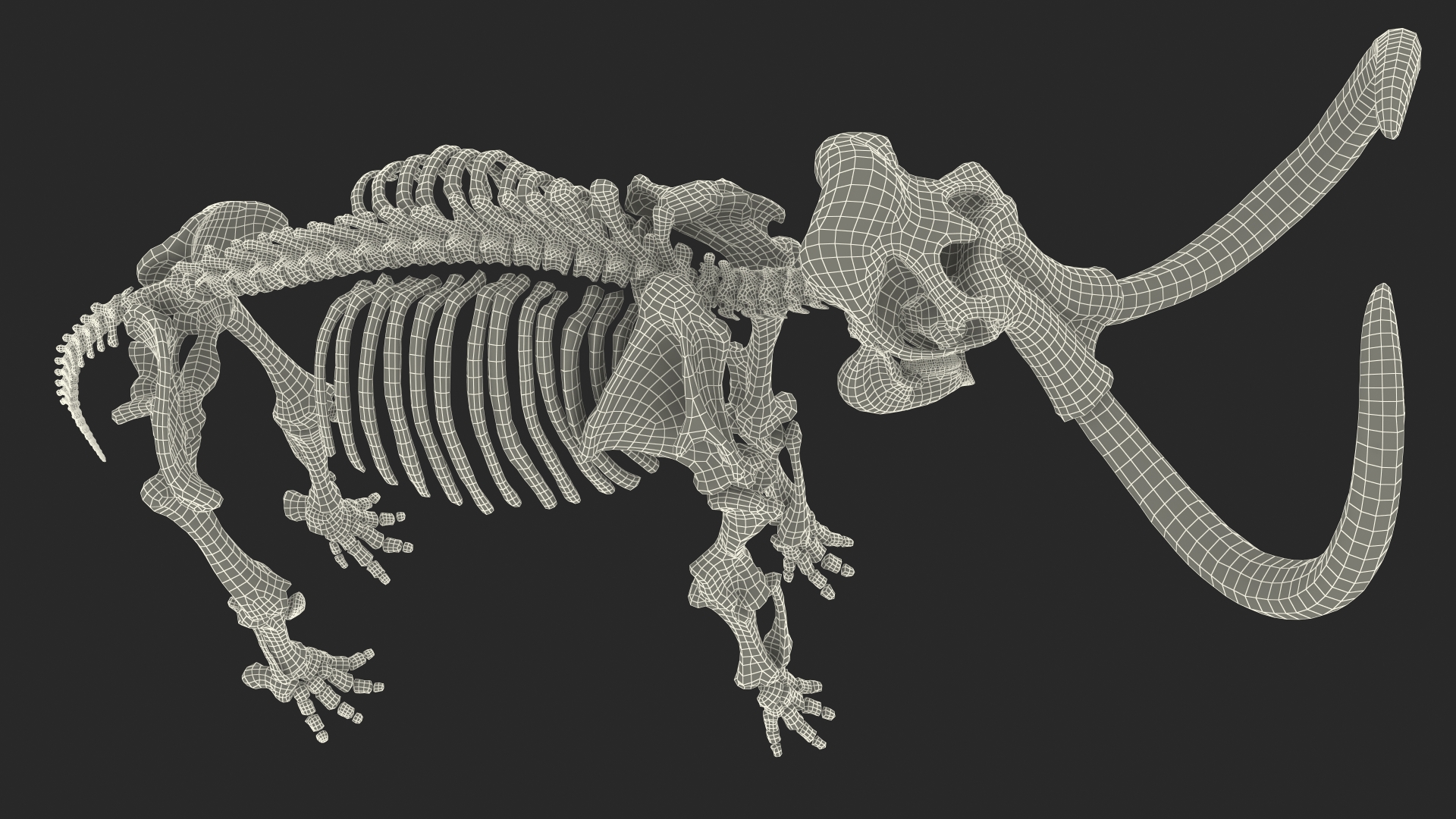 3D model Mammoth Skeleton Clean Bones Rigged