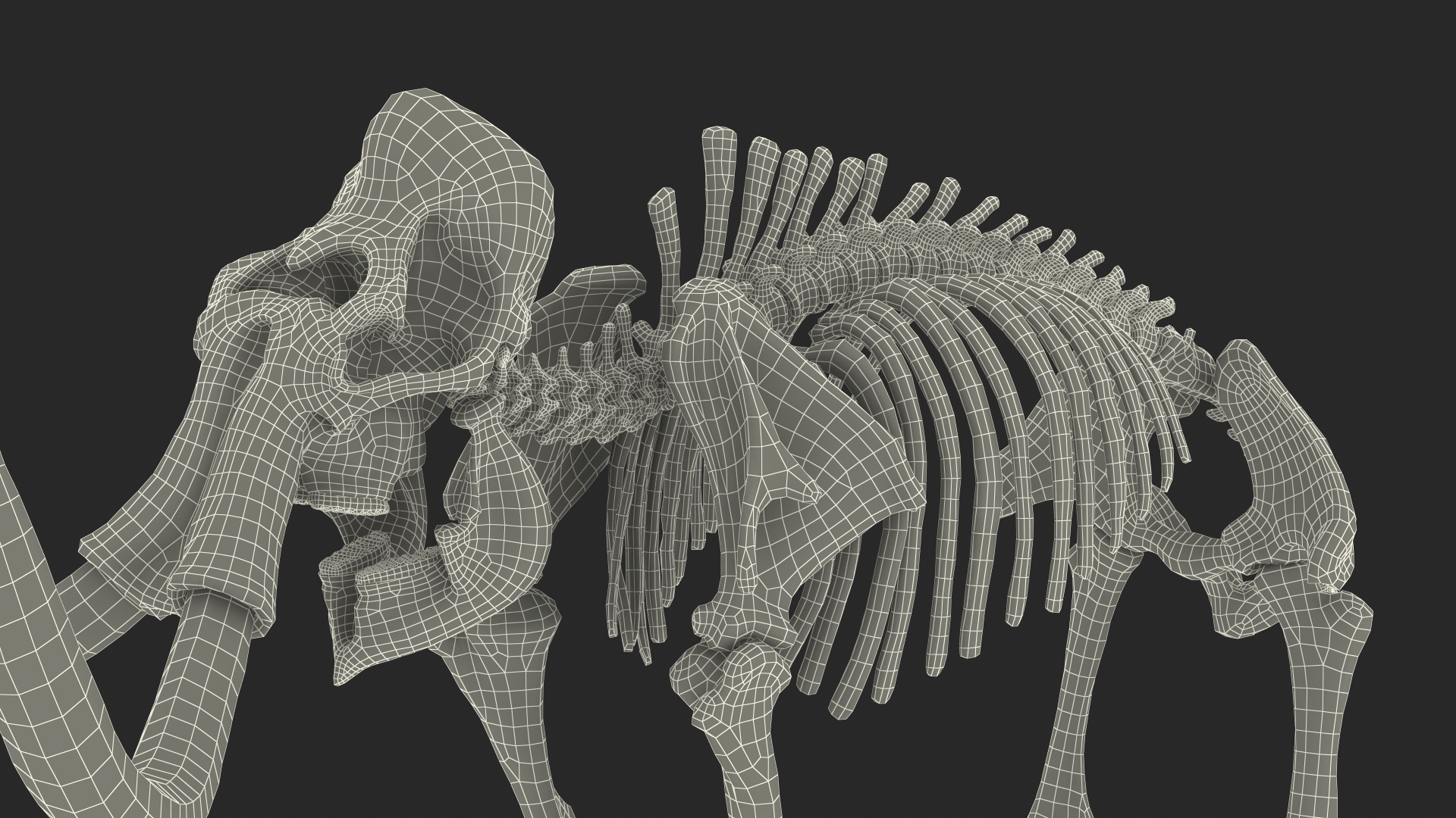 3D model Mammoth Skeleton Clean Bones Rigged