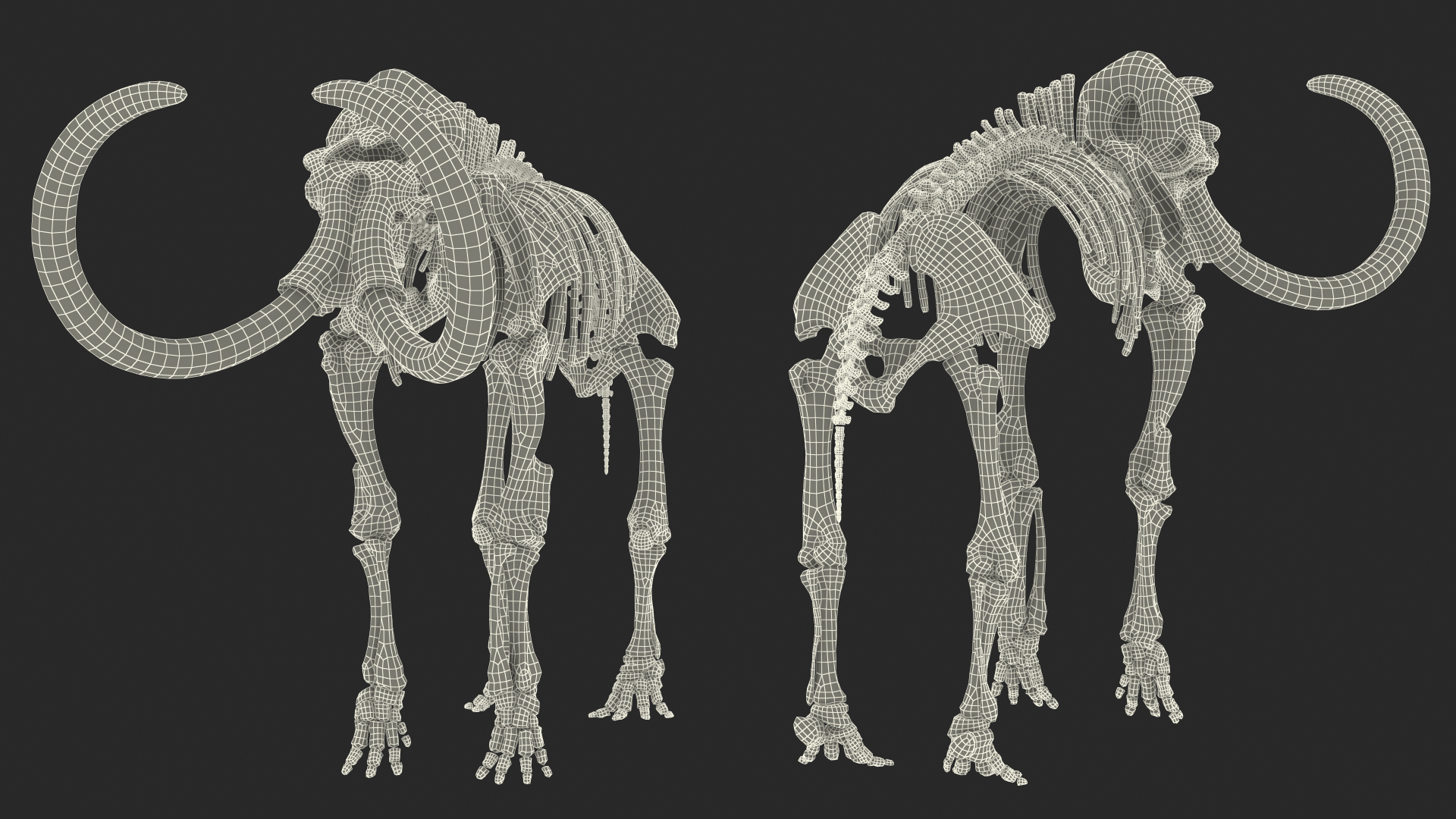 3D model Mammoth Skeleton Clean Bones Rigged