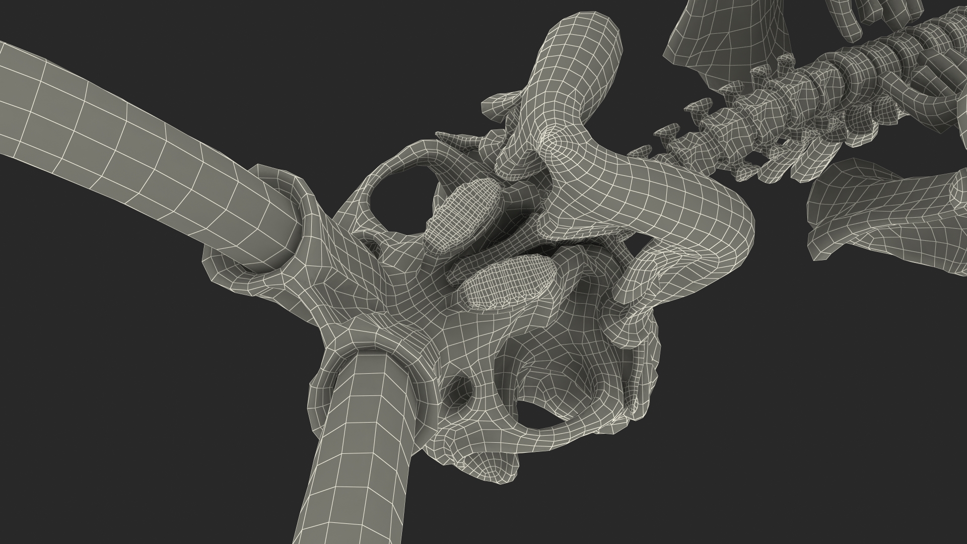 3D model Mammoth Skeleton Clean Bones Rigged