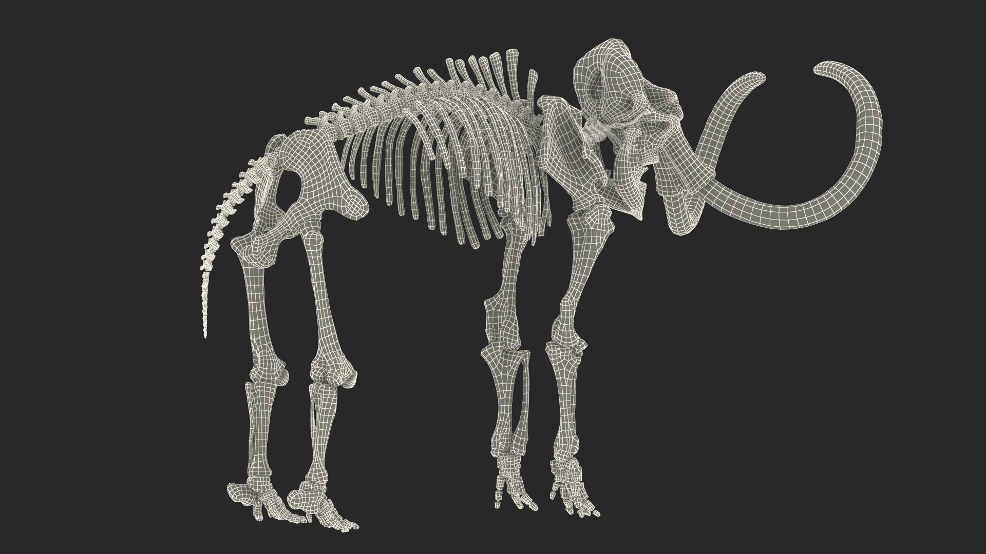 3D model Mammoth Skeleton Clean Bones Rigged