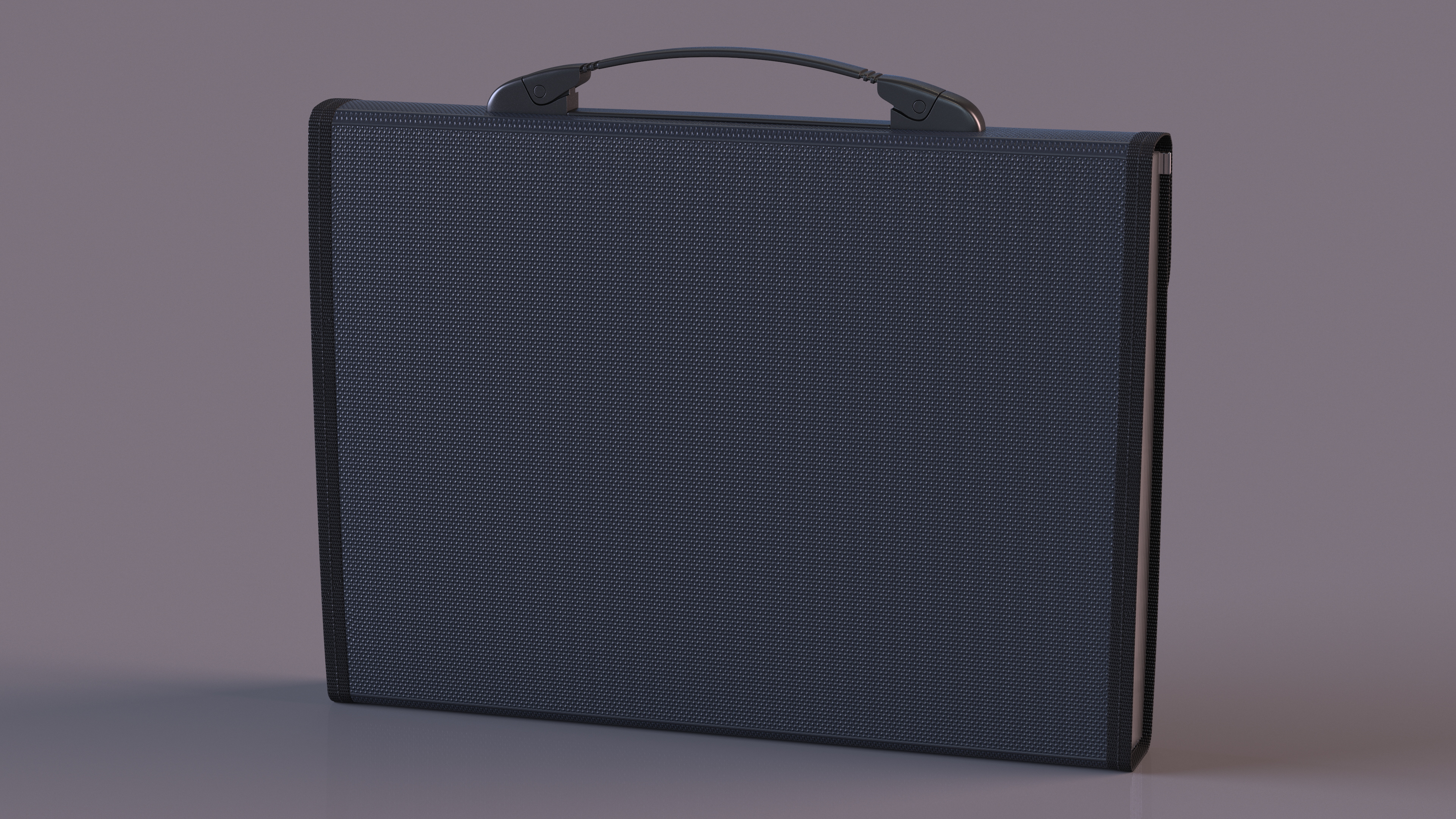 3D Document Organizer Case Bag Black model