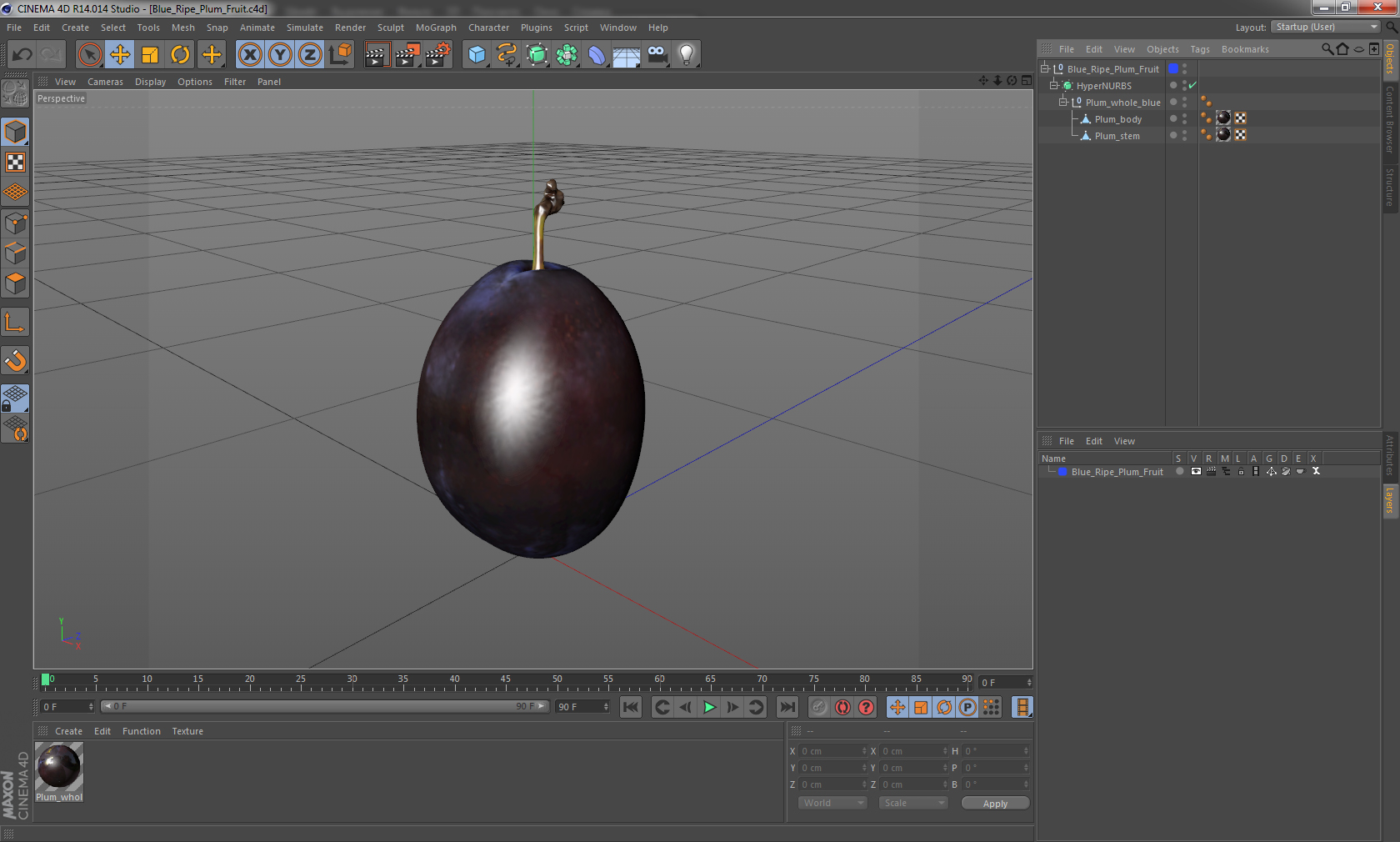 3D model Blue Ripe Plum Fruit