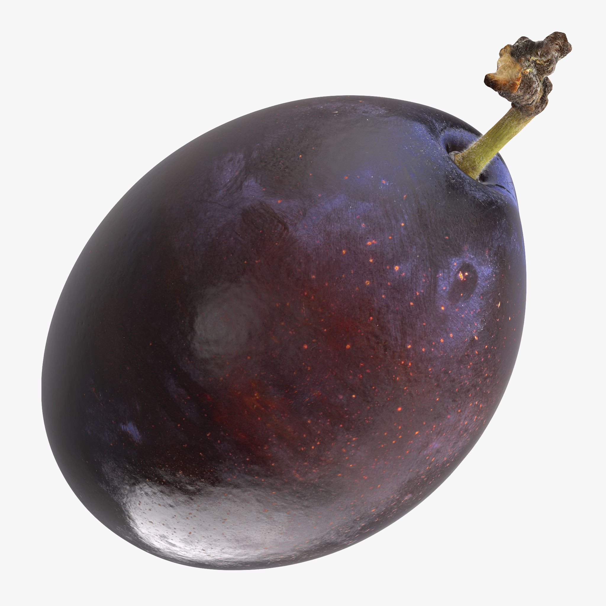 Blue Ripe Plum Fruit
