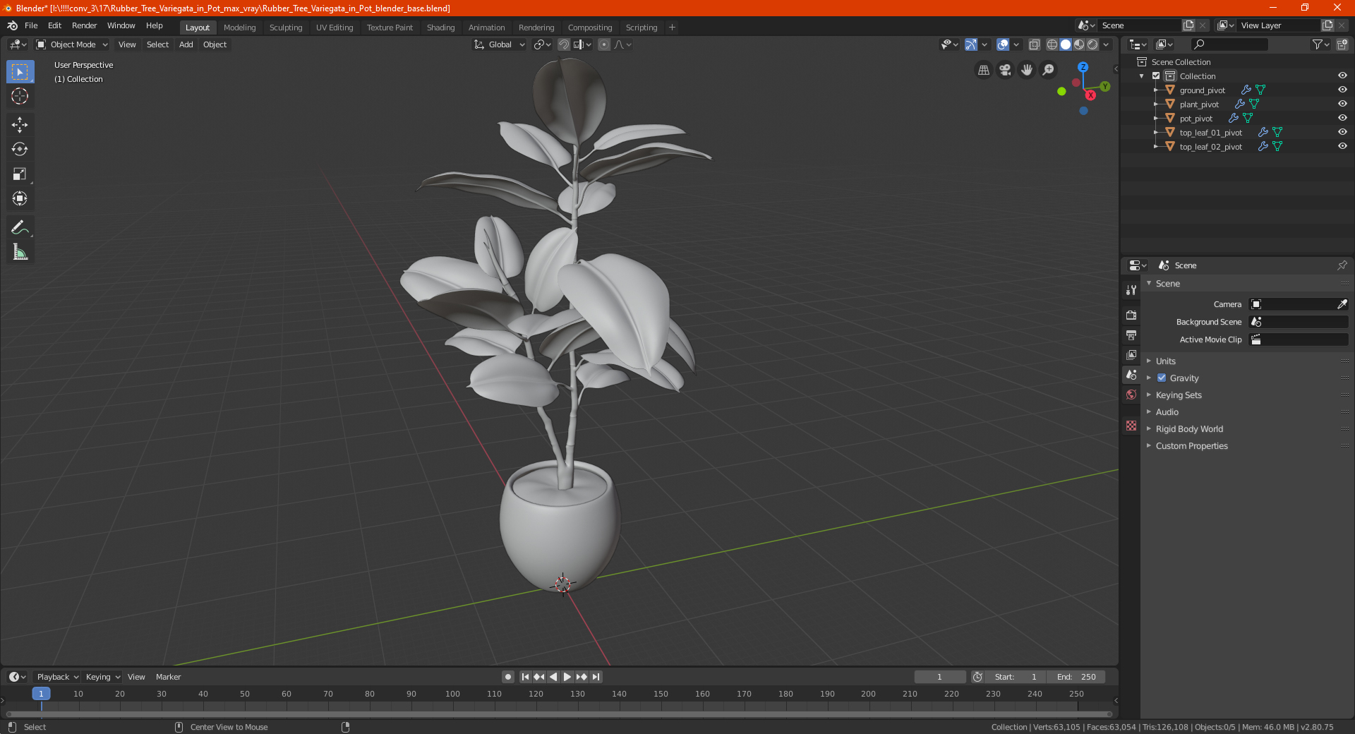 3D Rubber Tree Variegata in Pot model