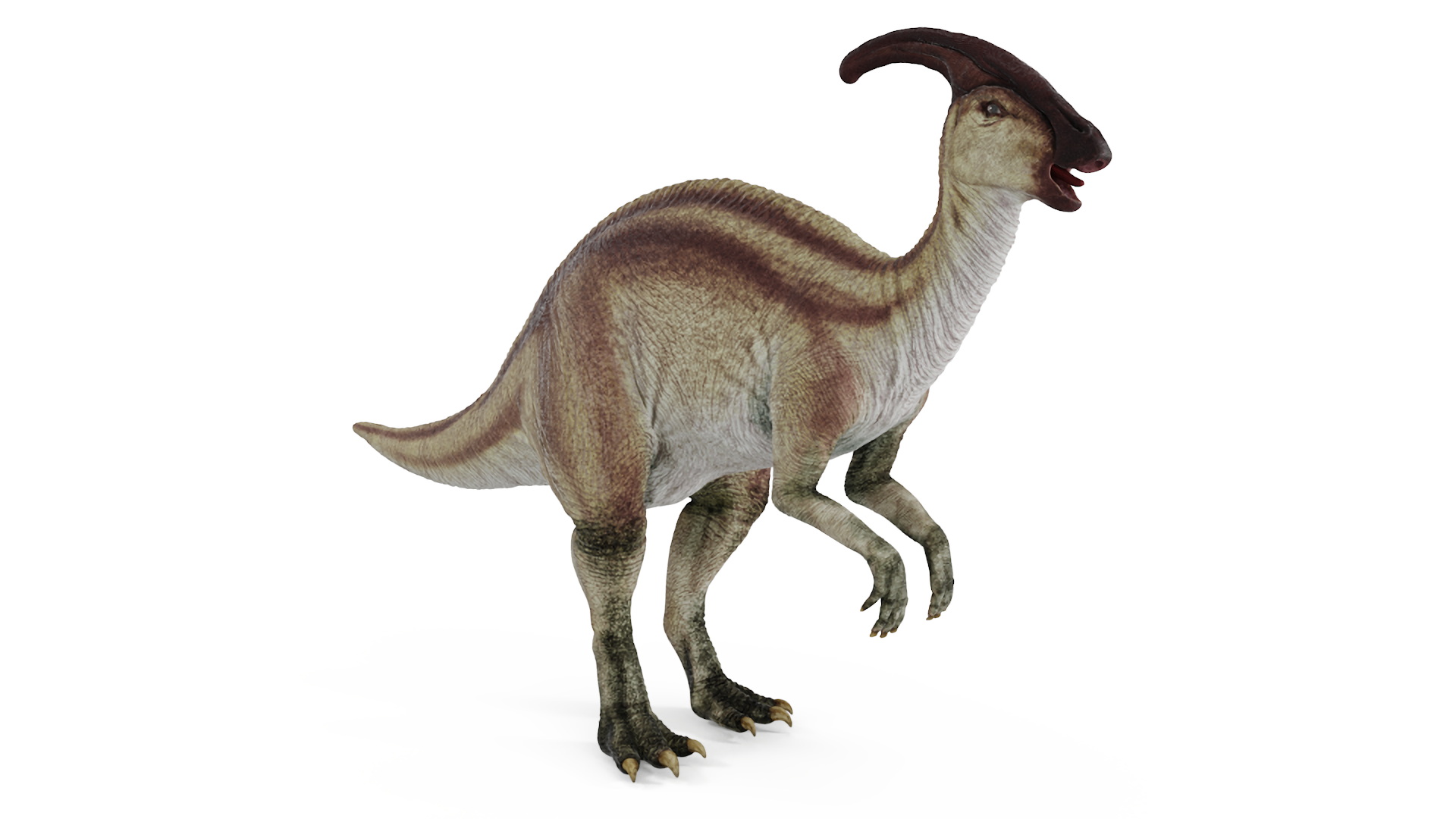 3D Parasaurolophus Dinosaur Rigged