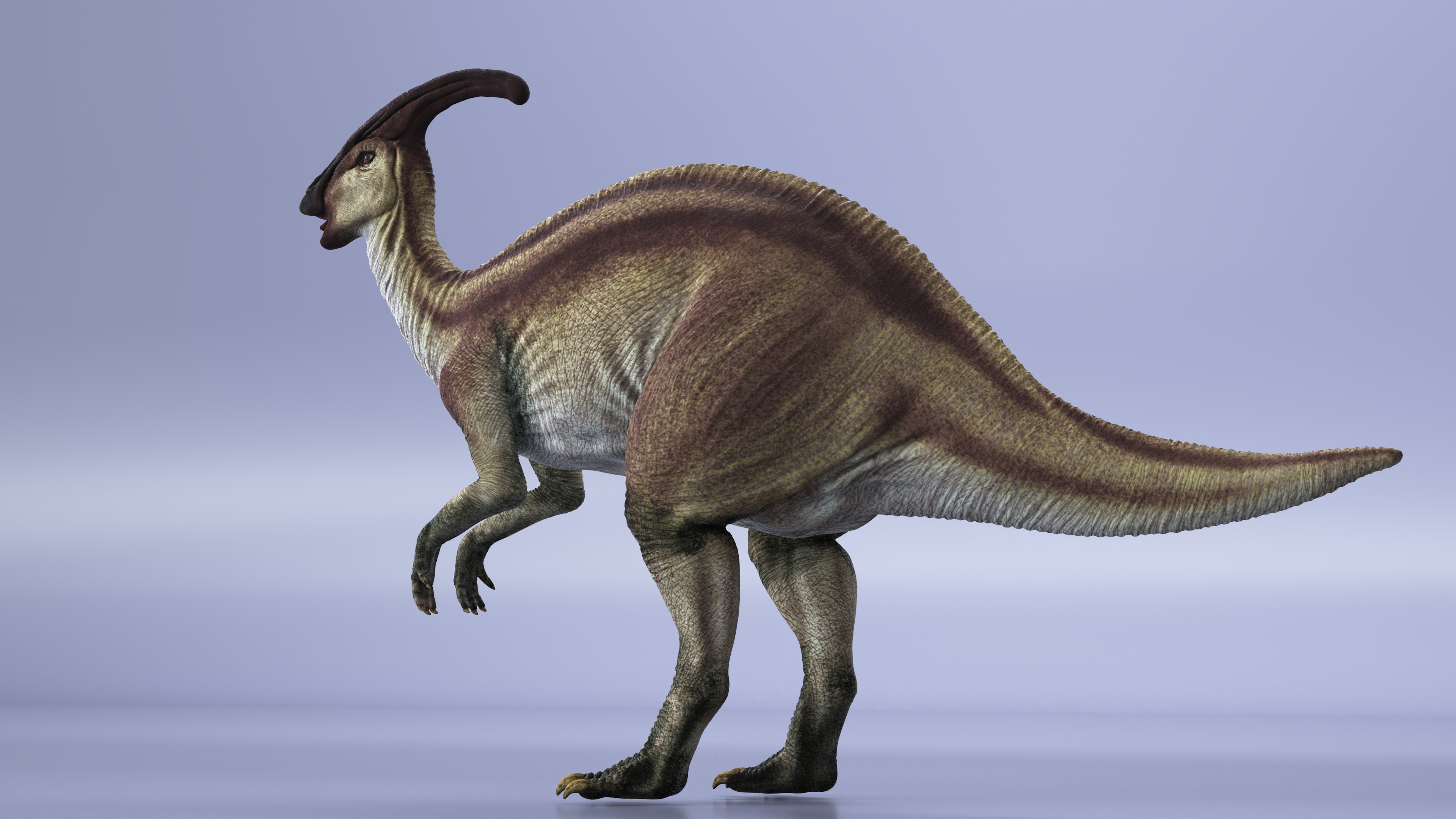 3D Parasaurolophus Dinosaur Rigged