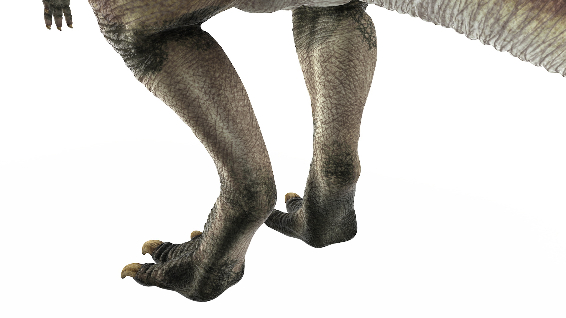 3D Parasaurolophus Dinosaur Rigged