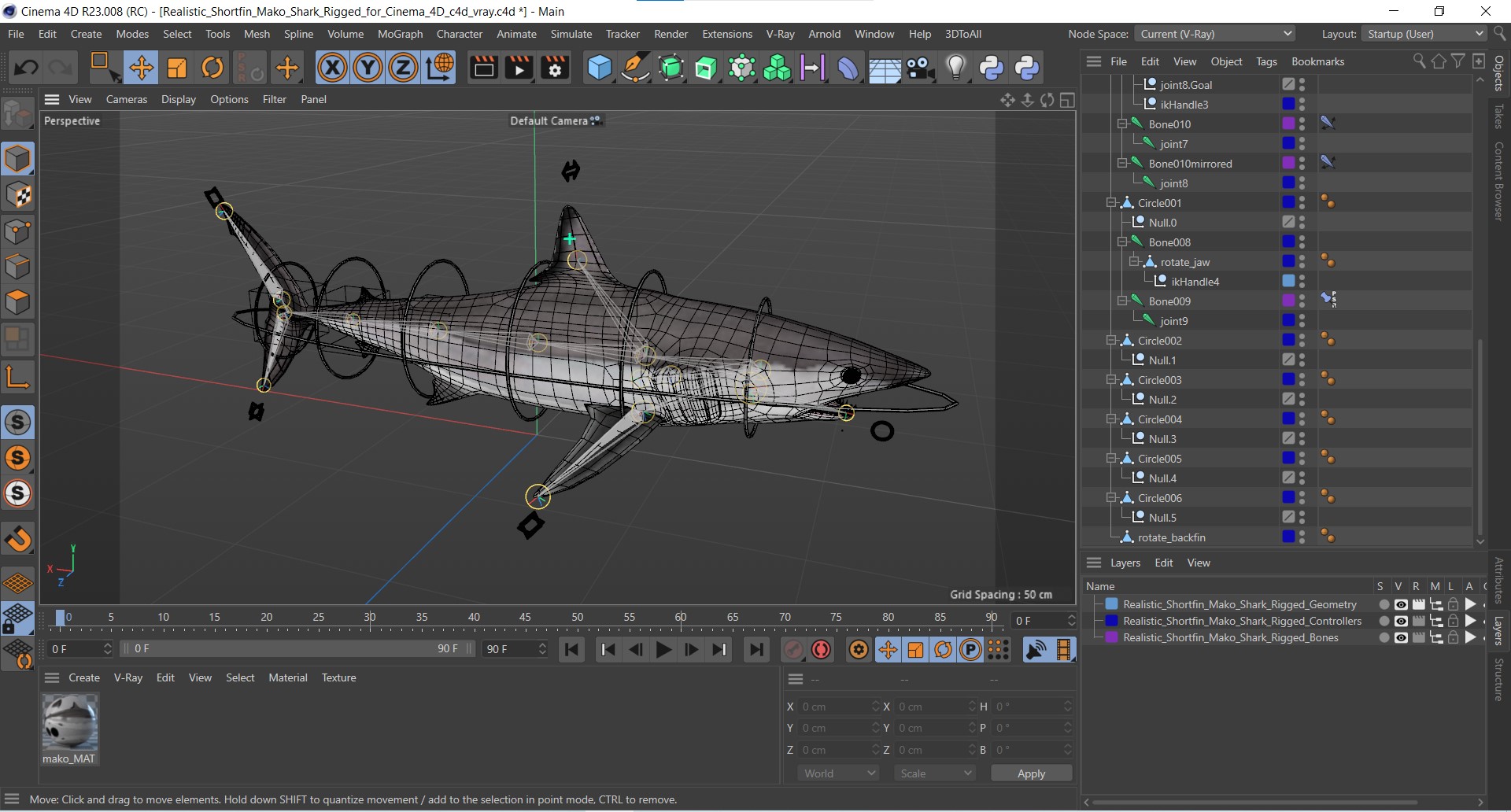 3D model Realistic Shortfin Mako Shark Rigged for Cinema 4D